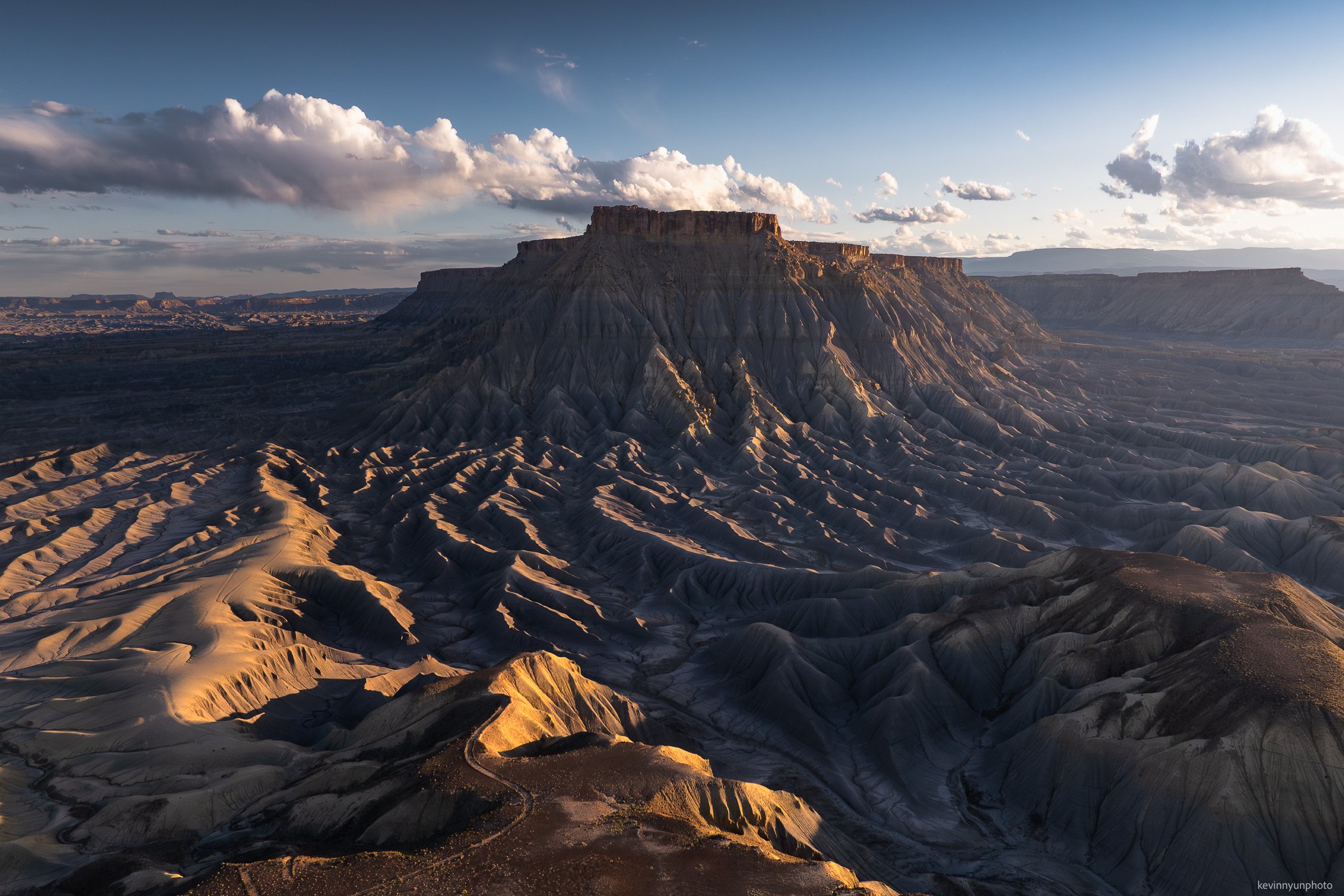 A-LN_Kevin-Nyun_Canineville-Mesas-1.jpg