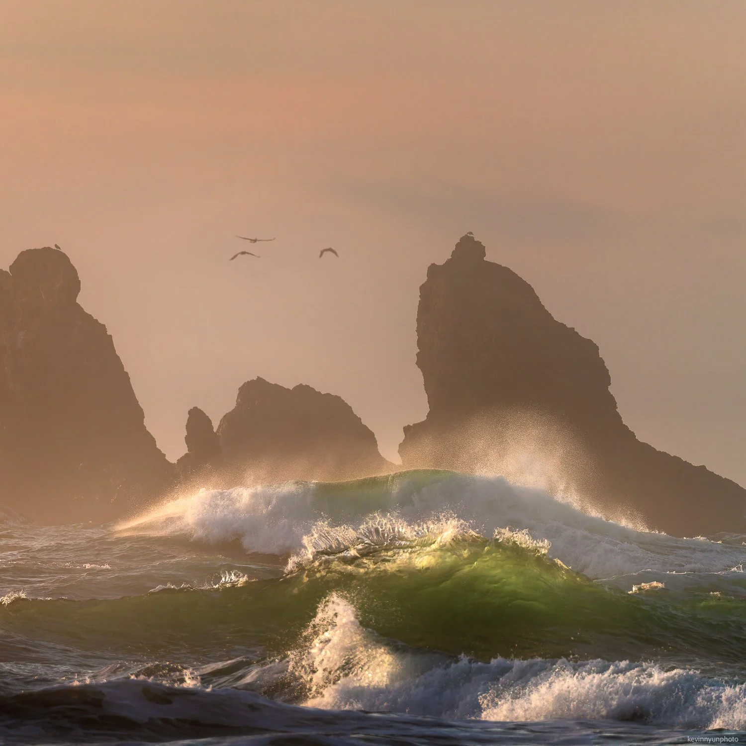 A-LN_Kevin-Nyun_Bandon-Waves-5.jpg