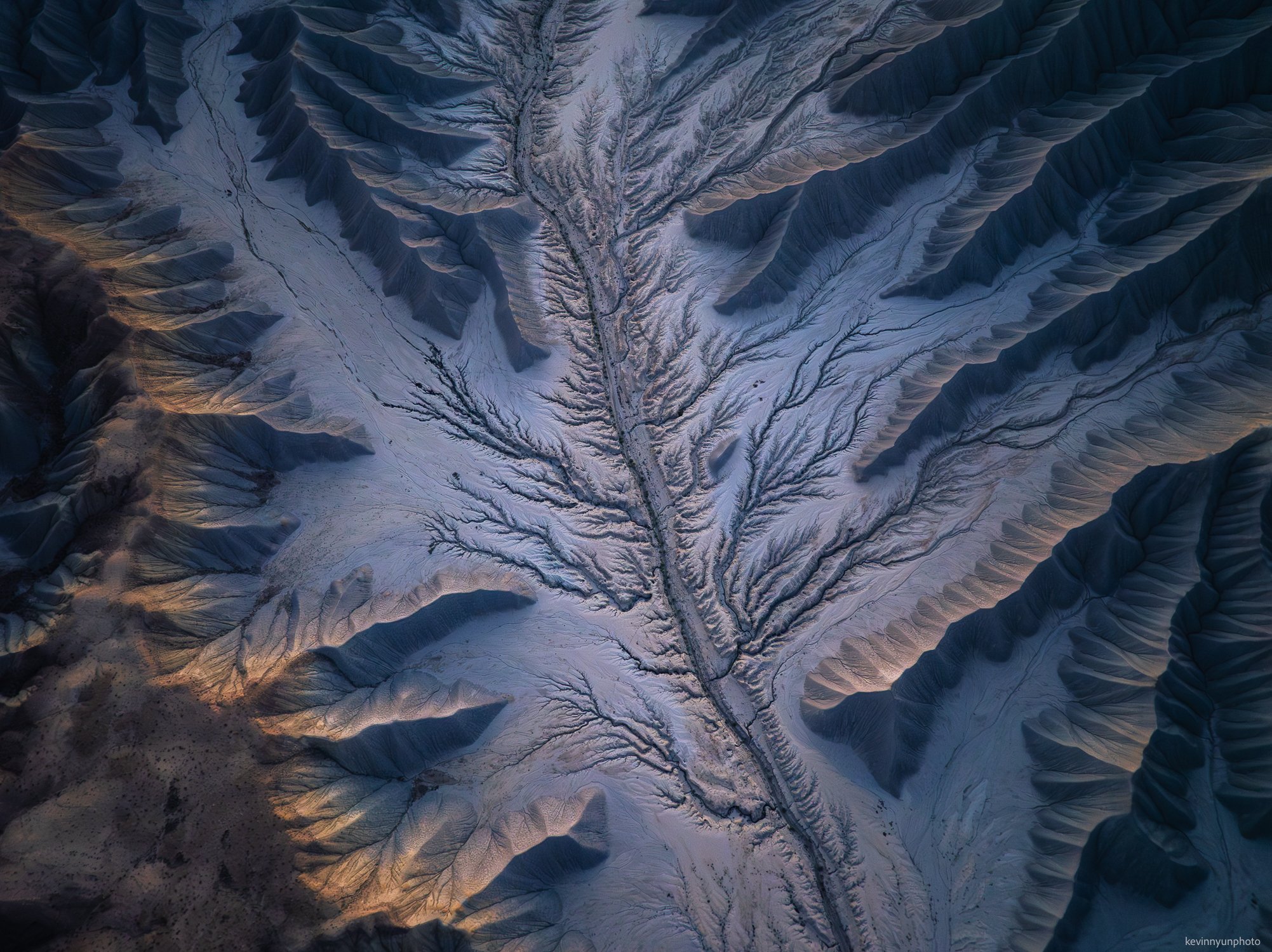 A-LN_Kevin-Nyun_Texture-Pano-1.jpg