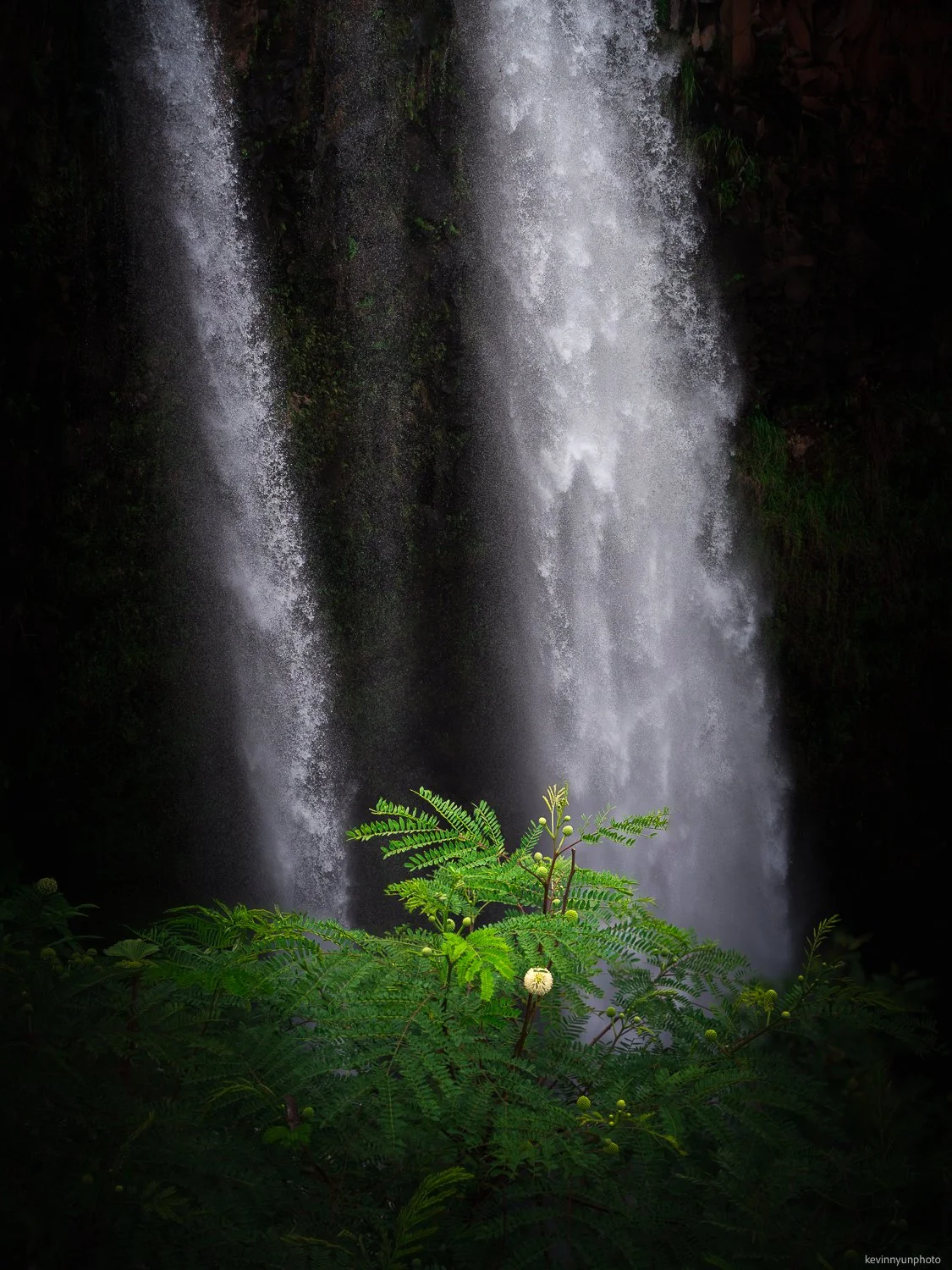 A-LN_Kevin-Nyun_Wailua-Falls-1.jpg