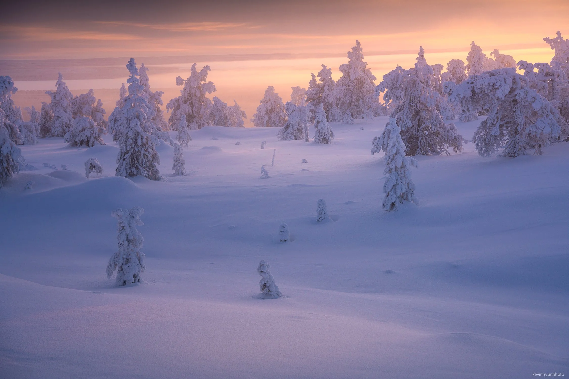 Lapland Winter 2025