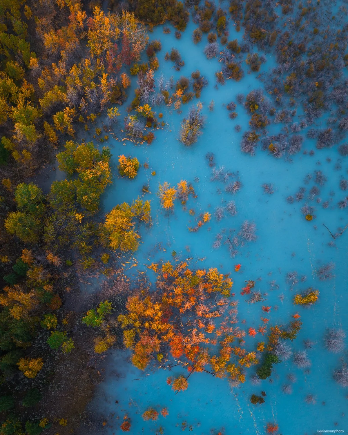 A-LN_Kevin-Nyun_Aspens-3.jpg