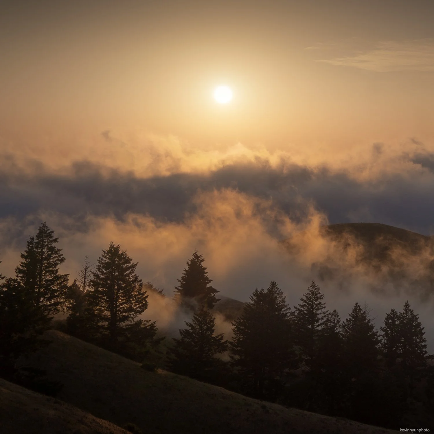 A-LN_Kevin-Nyun_Fog-Update-2.jpg
