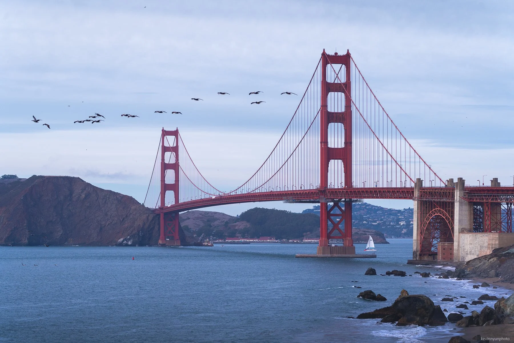 A-LN_Kevin-Nyun_Golden-Gate-Bridge-Marshall-Beach-Birds-1.jpg