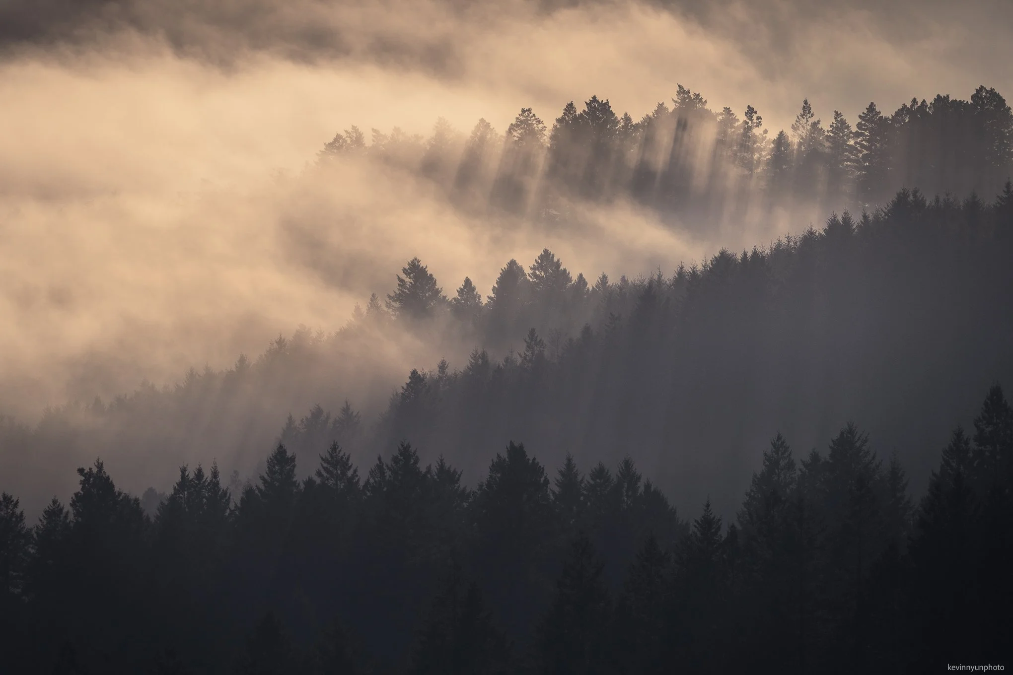 A-LN_Kevin-Nyun_Sea-of-Clouds-5.jpg