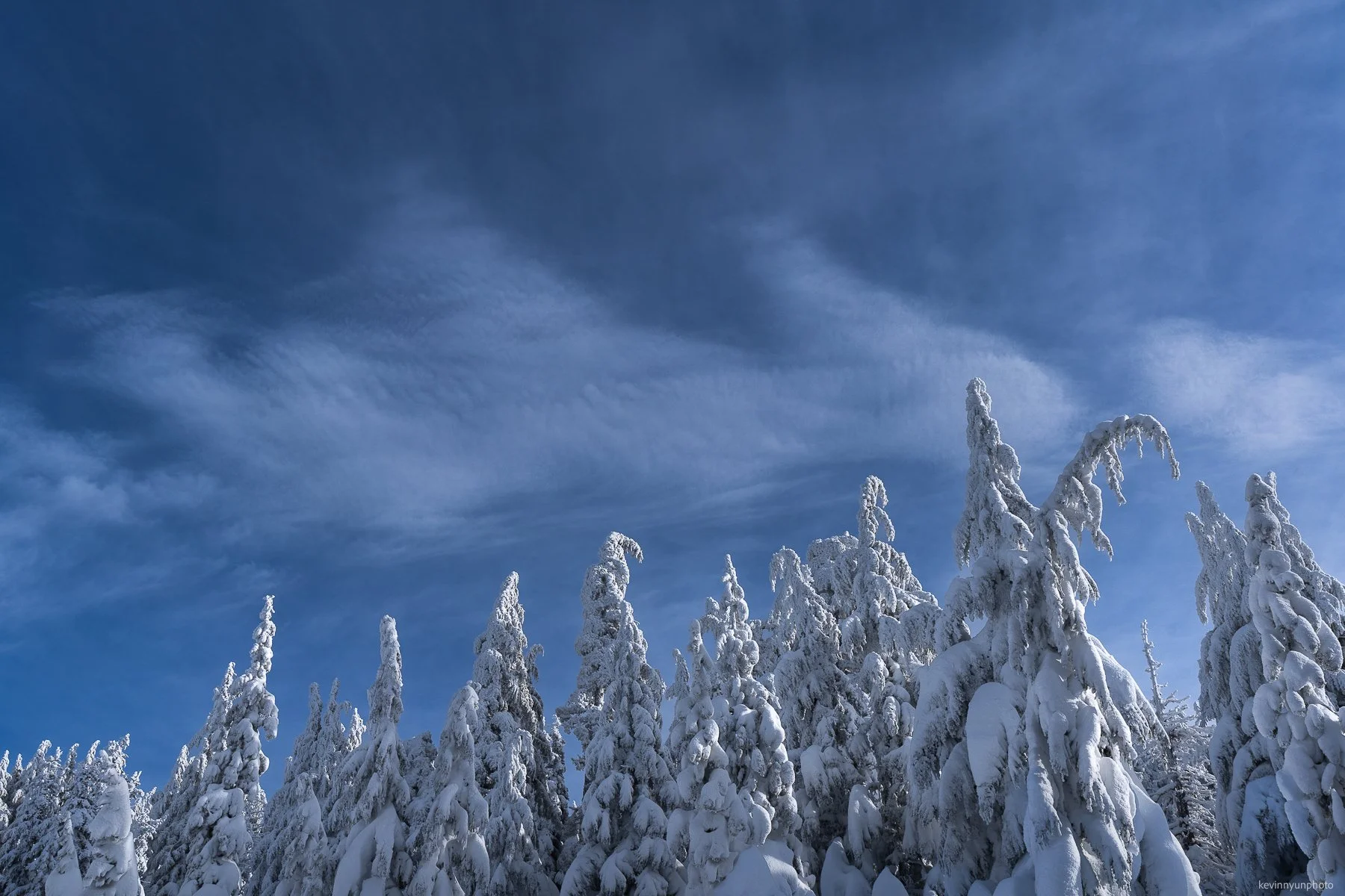 A-LN_Kevin-Nyun_Frozen-Trees-6-2.JPG