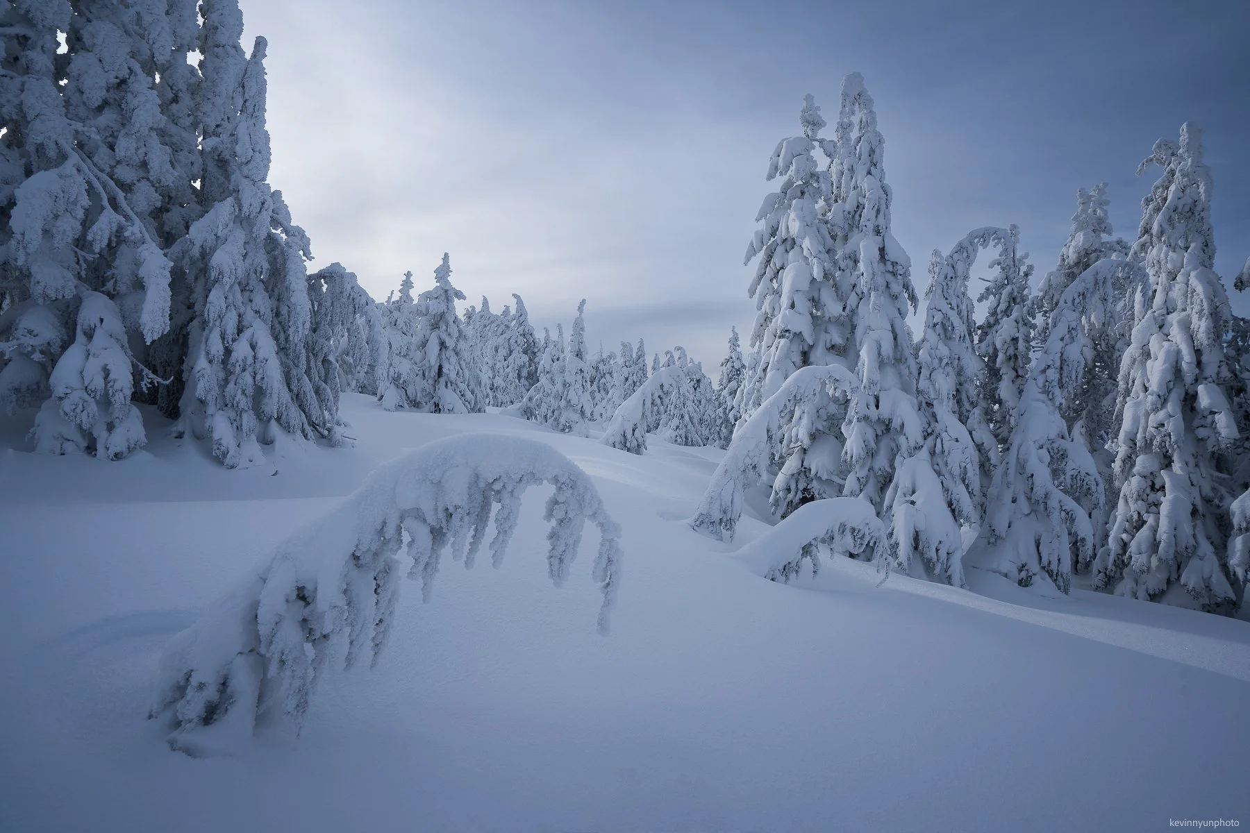 A-LN_Kevin-Nyun_Frozen-3.JPG