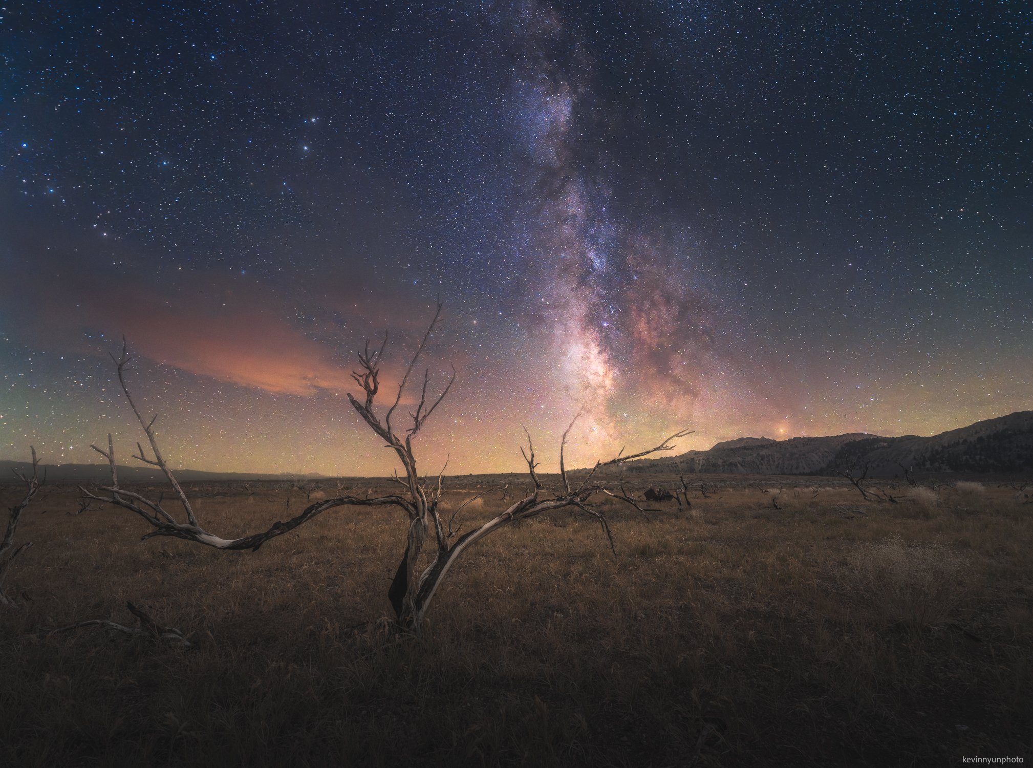 A-LN_Kevin-Nyun_Dead-Tree-Astro-1.jpg