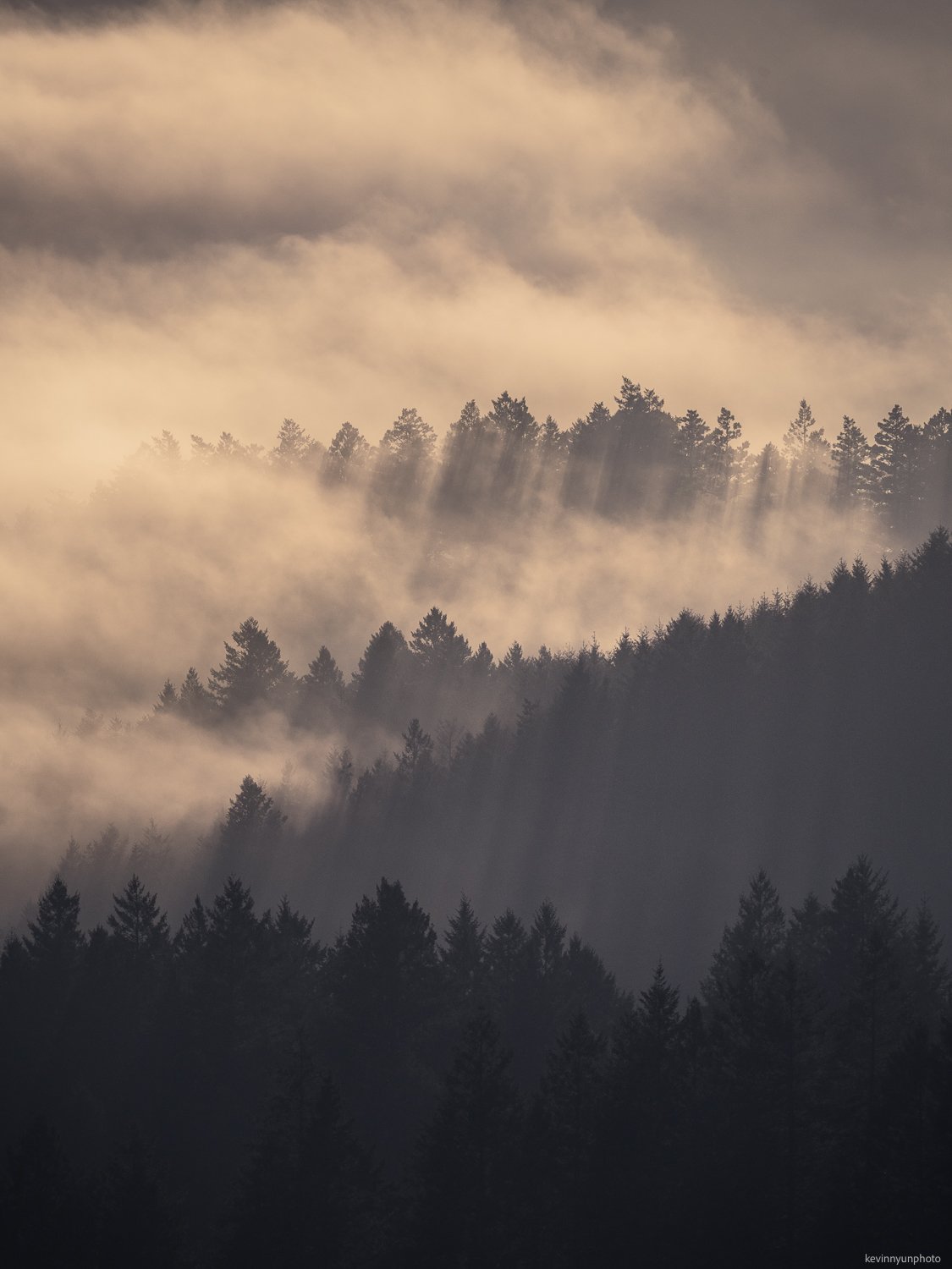 A-LN_Kevin-Nyun_Sea-of-Clouds-6.jpg