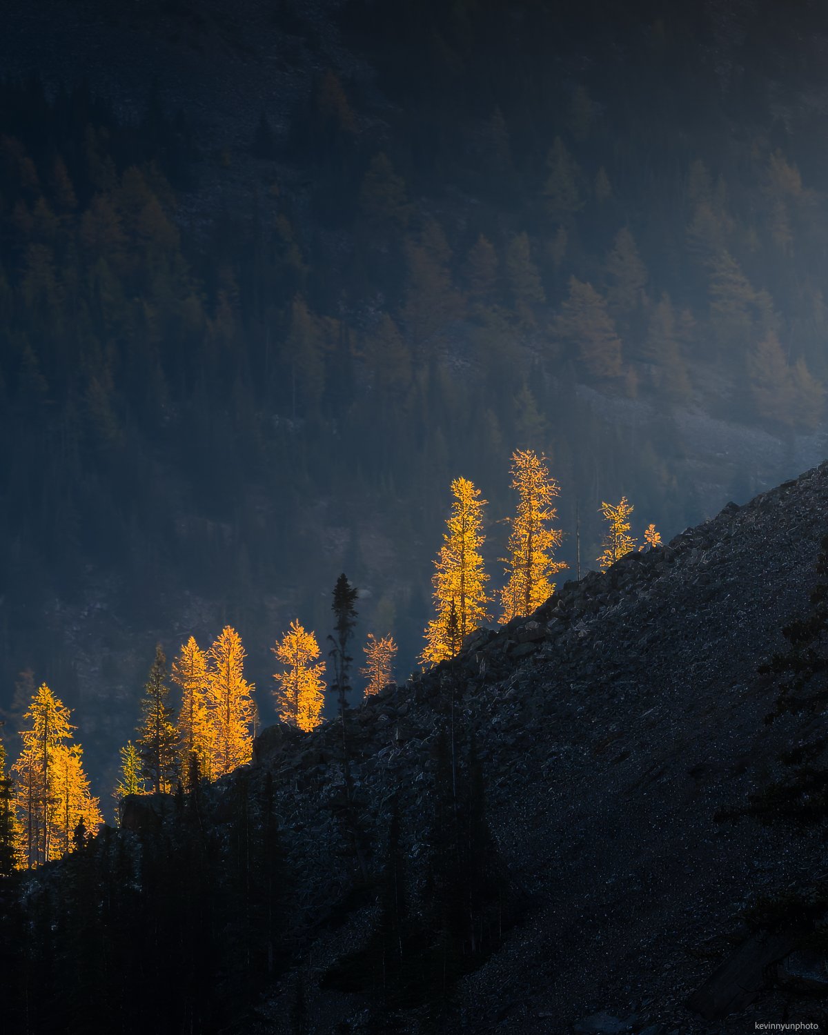 A-LN_Kevin-Nyun_Larches-2.jpg