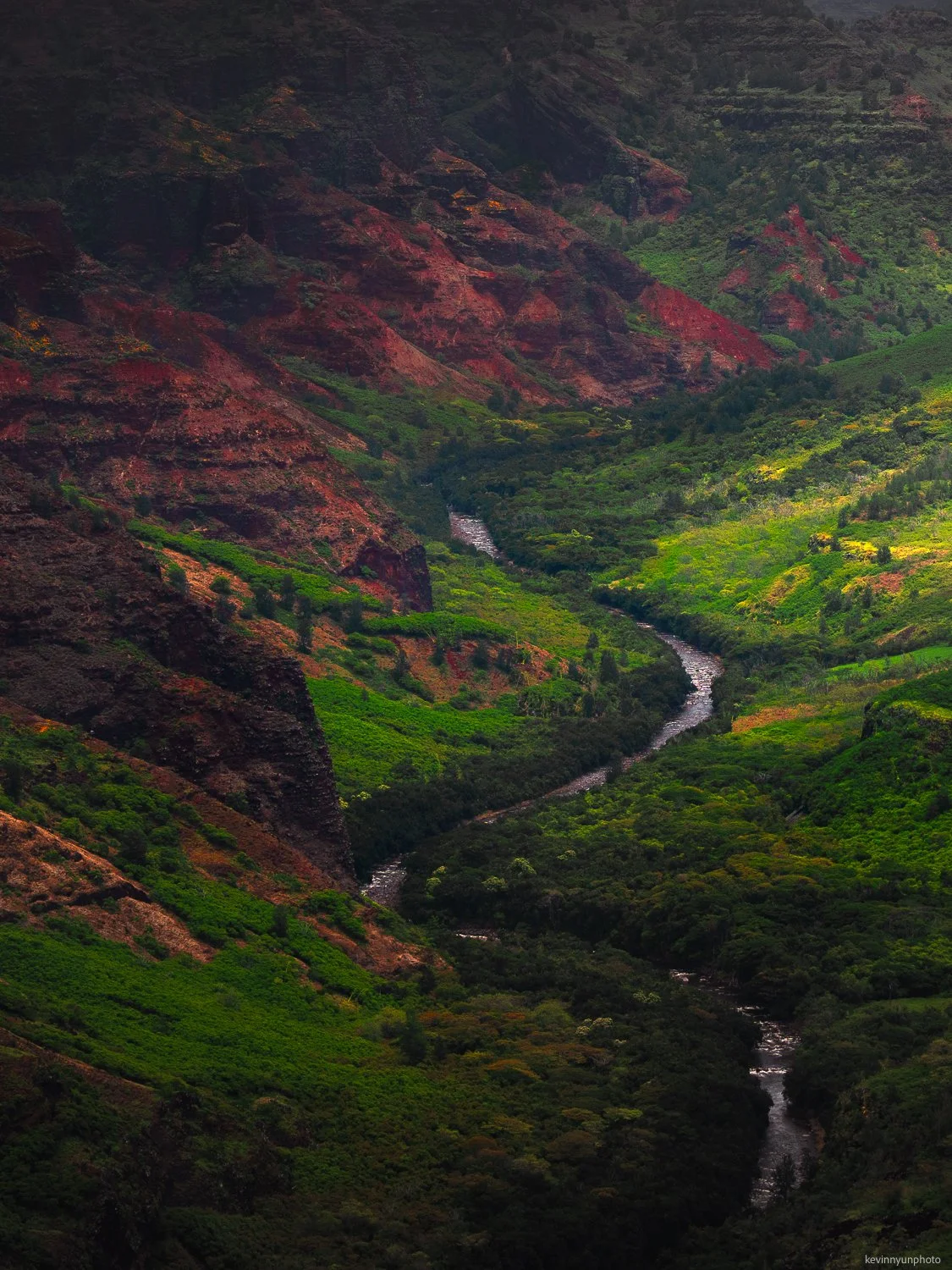 A-LN_Kevin-Nyun_Waimea-Canyon-1.jpg