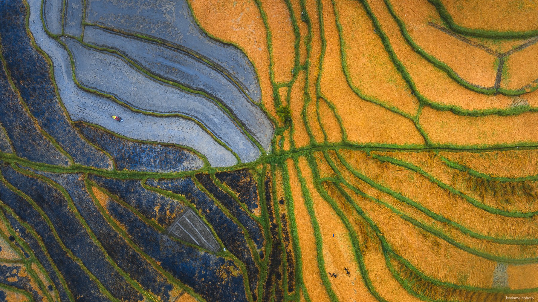 Rice Terraces-1.jpg