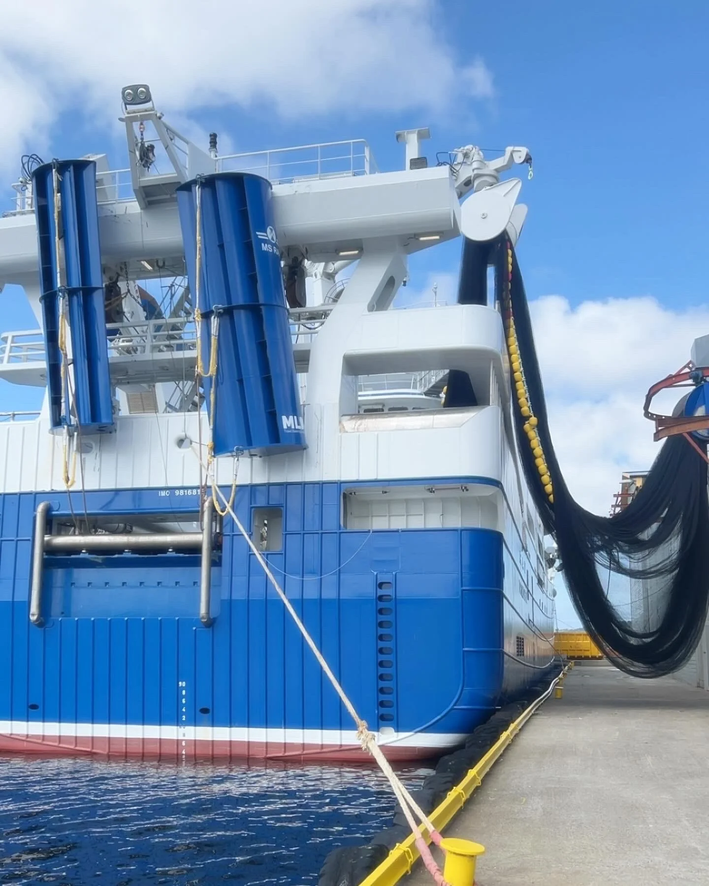 MS RAV PICKS'S UP A BRAND NEW PURSESEINE NET!