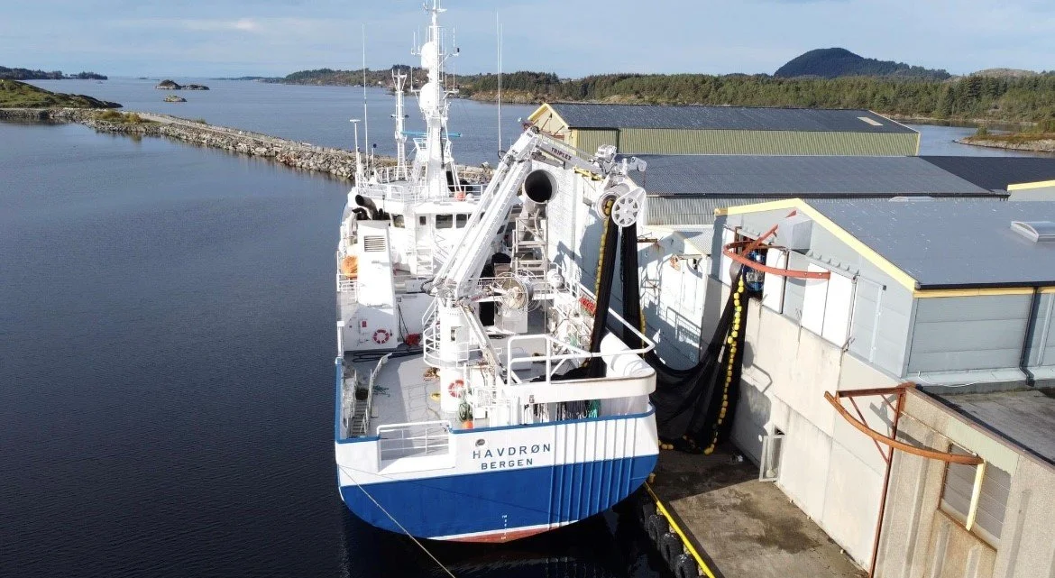 The Norwegian fishing vessel Havdrøn is at our dock this week.