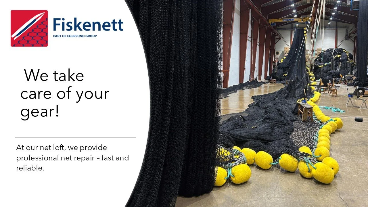 🔧 Reliable net repair