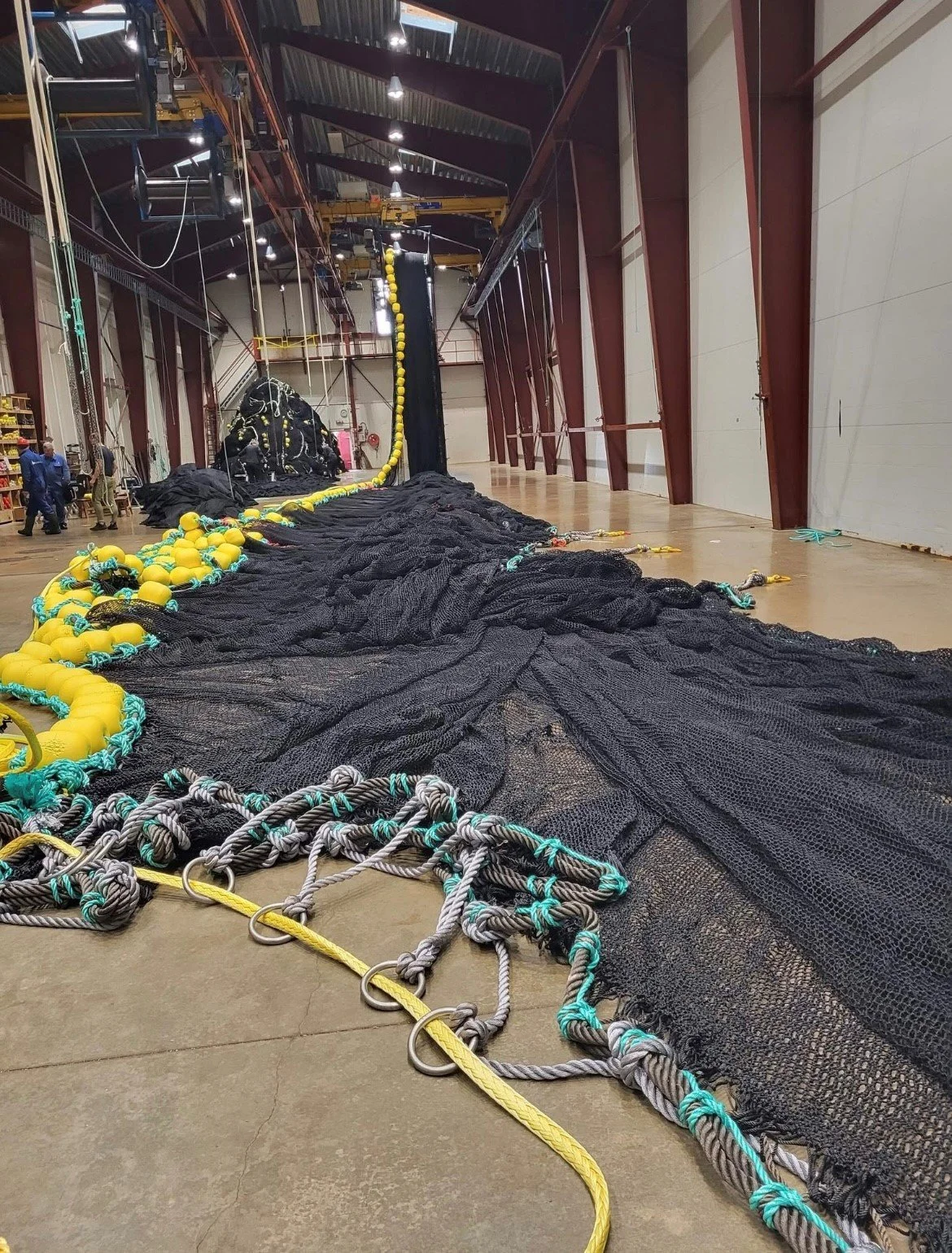 Tørko til ny not vestfart.jpg