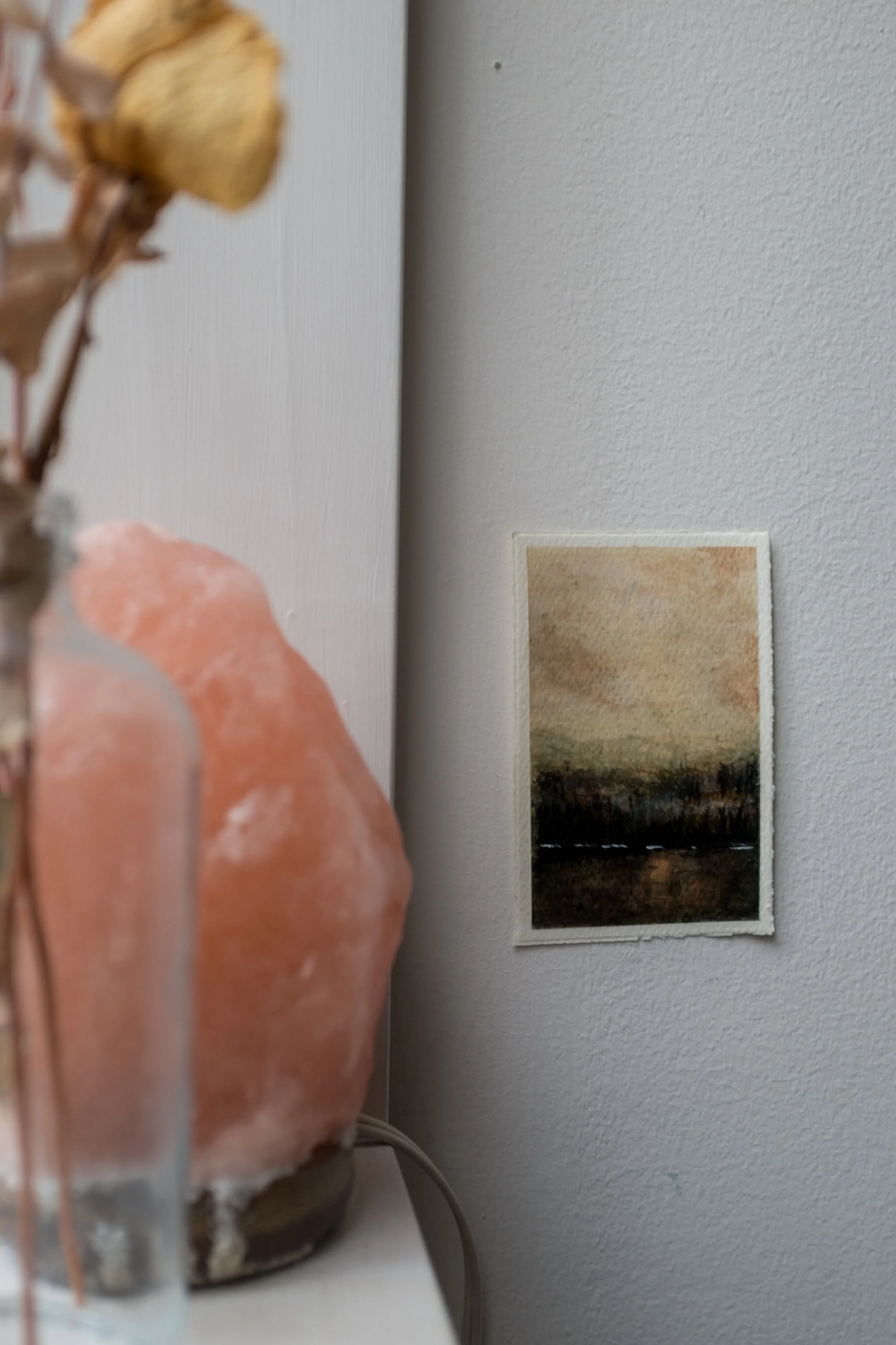 Named for the wild flowers that hang on my wall from a dear friend from the Hebrides