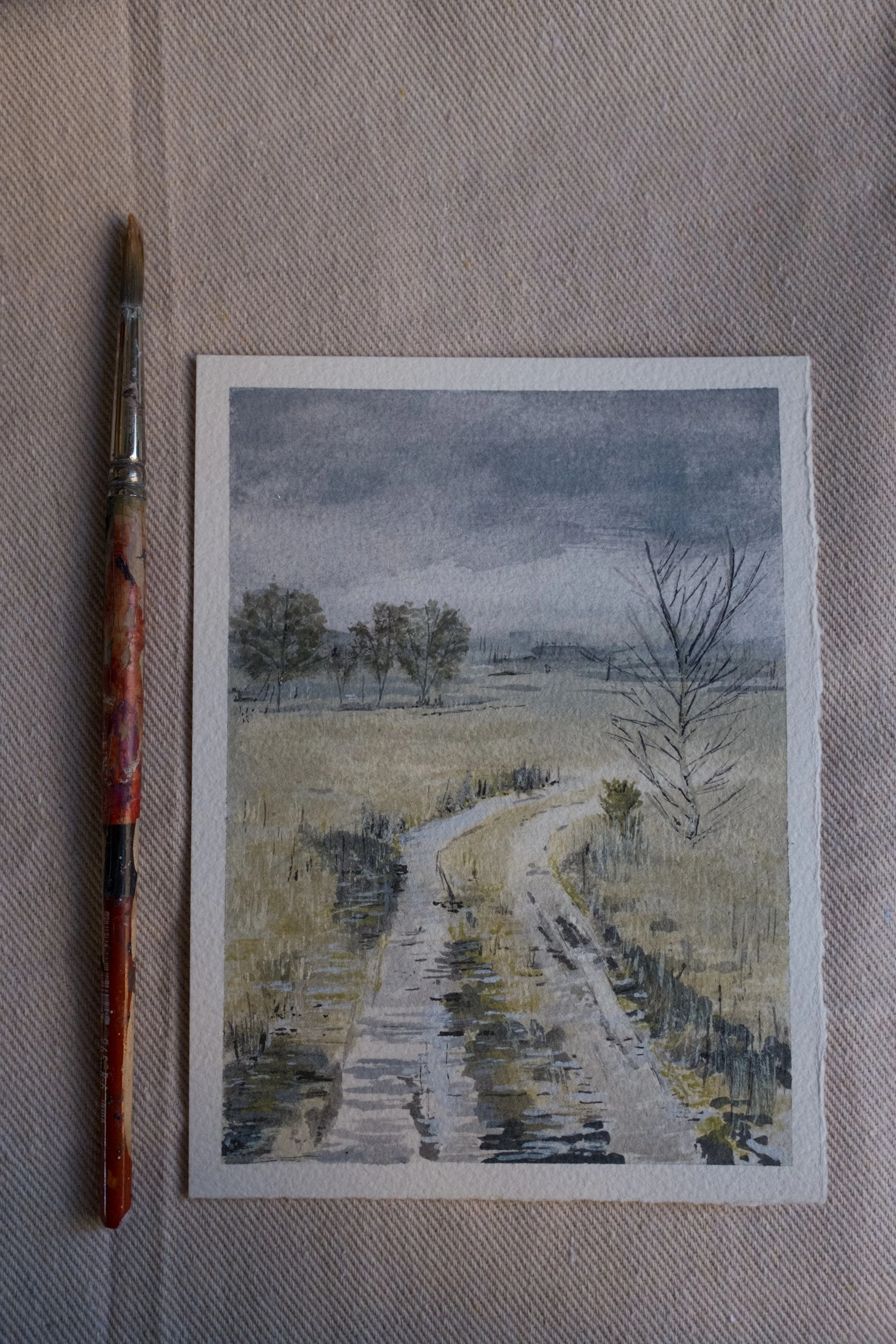 I squatted down in the field, the golden glimmering grass swaying over my head as it hid me. As I stood up, I recall the white road leading towards the house; the sun light refracting on all that was golden and youthful.