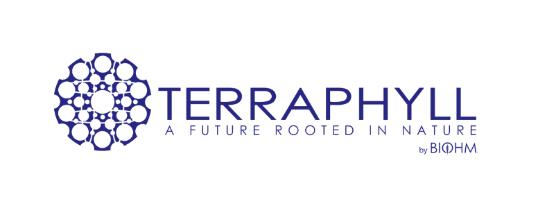 CVD Logos design for website.png