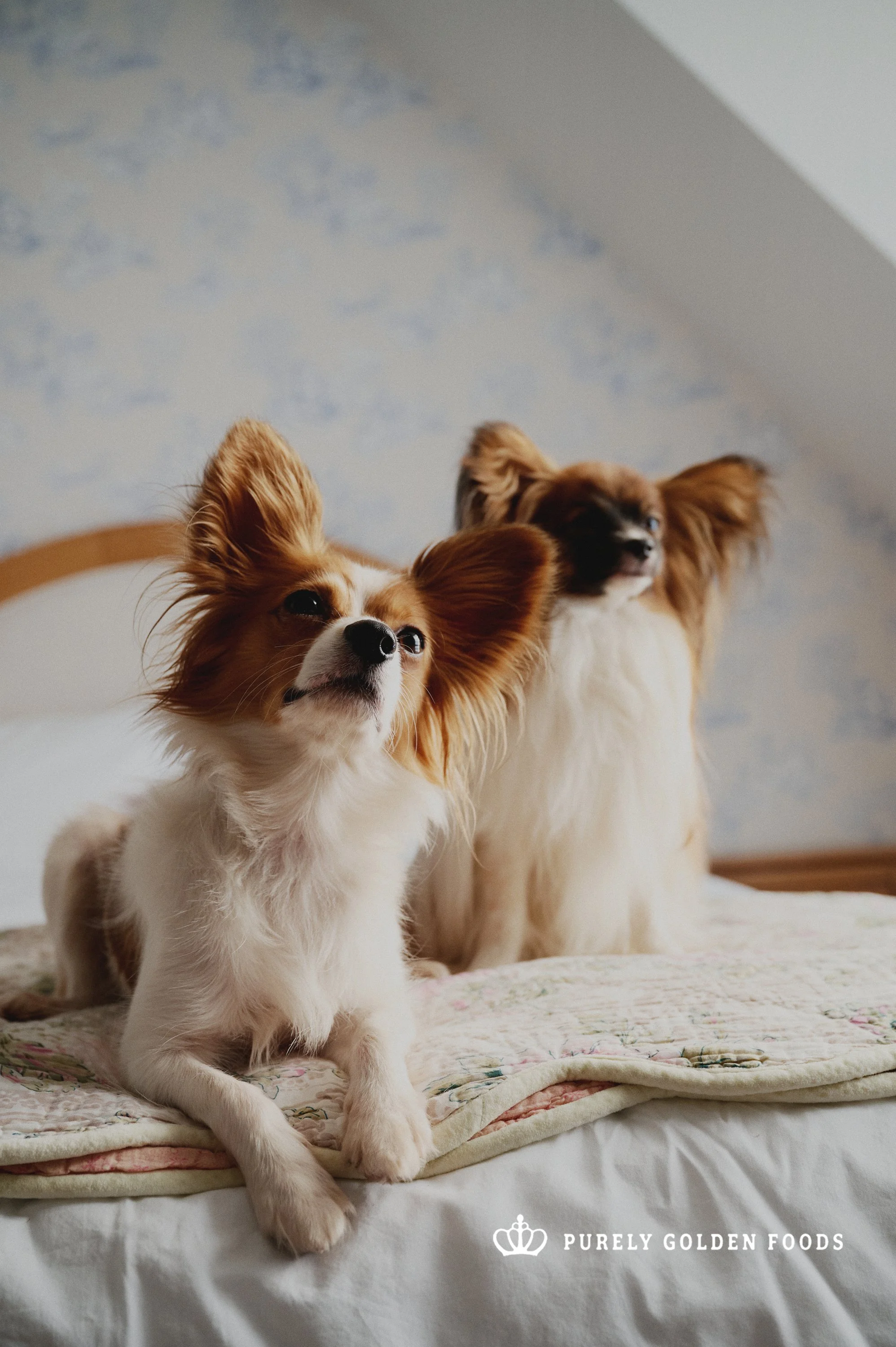 2025_10_27 SUNDAY CREATIVE  188083 copie 2.jpg