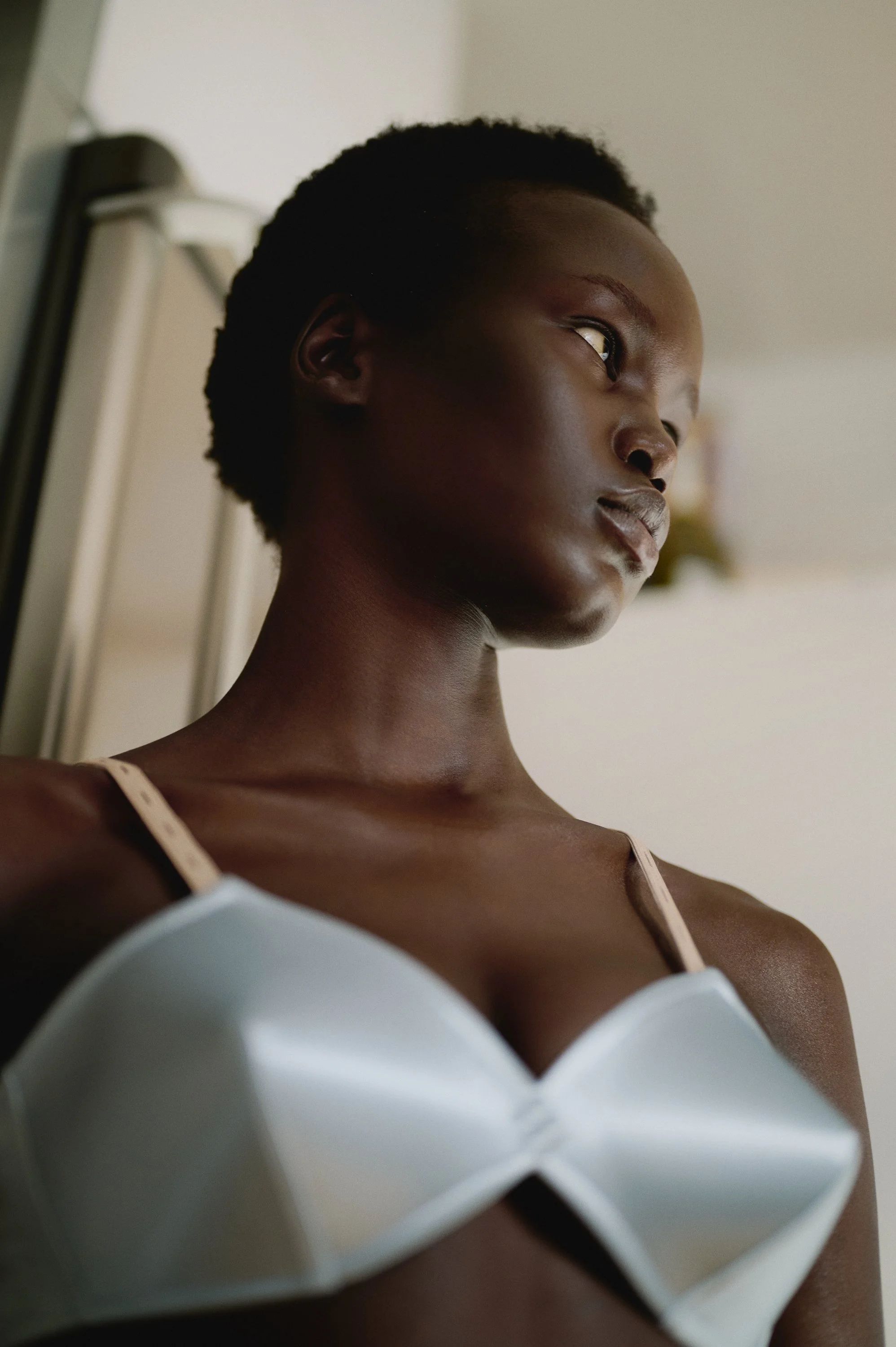 2025_11_19 CREA PINI199165 1.jpg