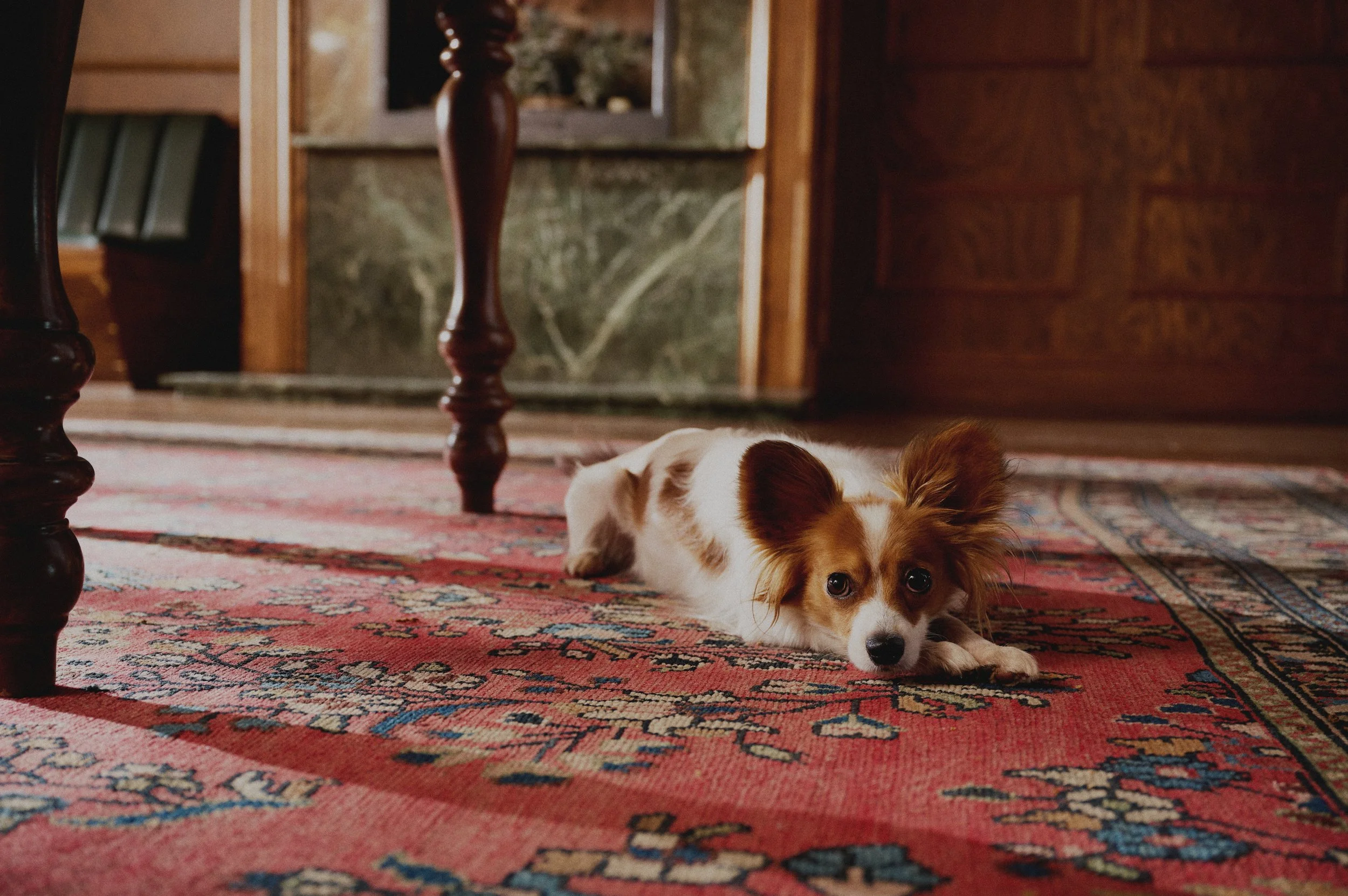 2025_10_27 SUNDAY CREATIVE  187853.jpg