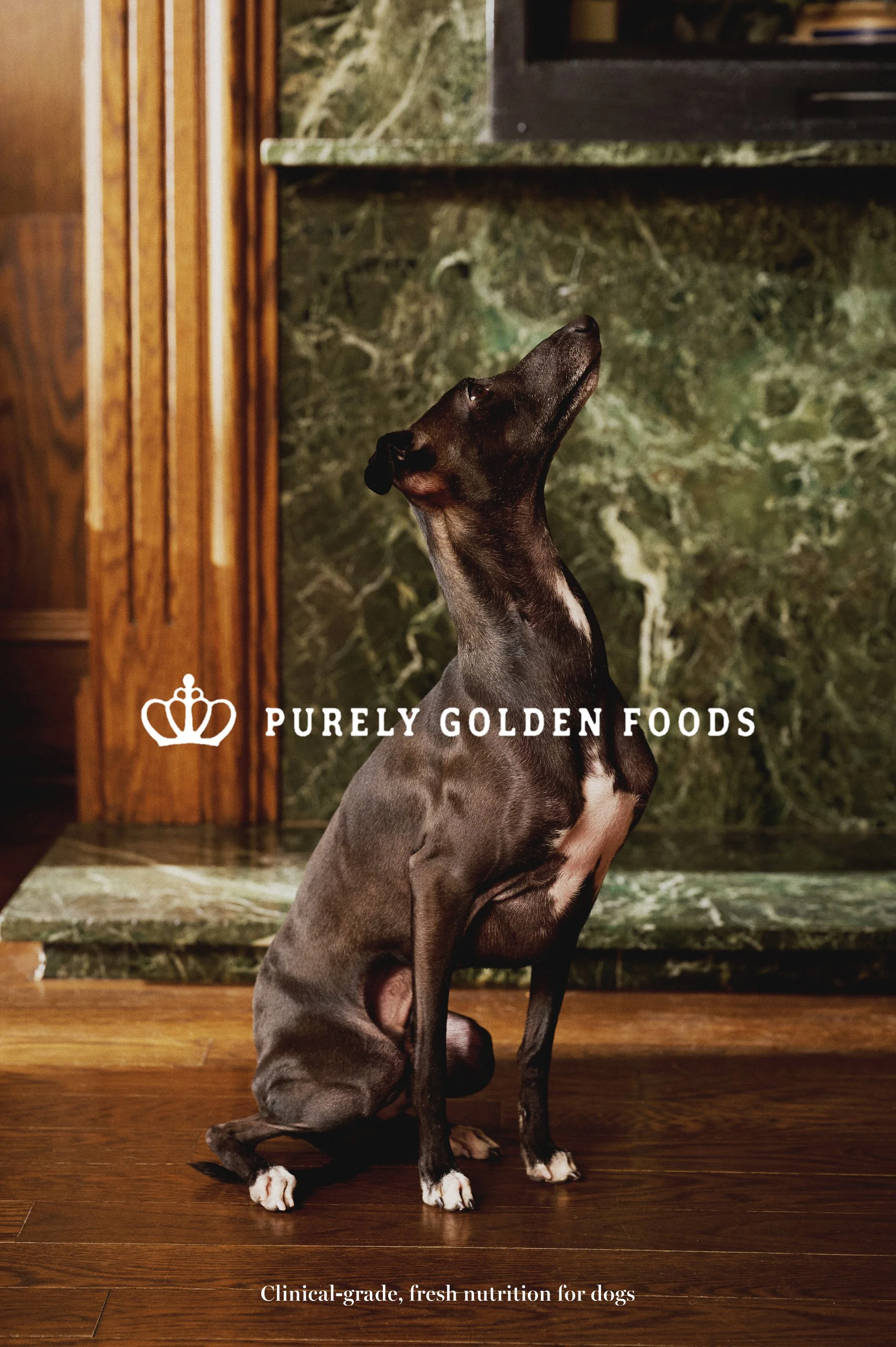 2025_10_27 SUNDAY CREATIVE  187798 copie3.jpg