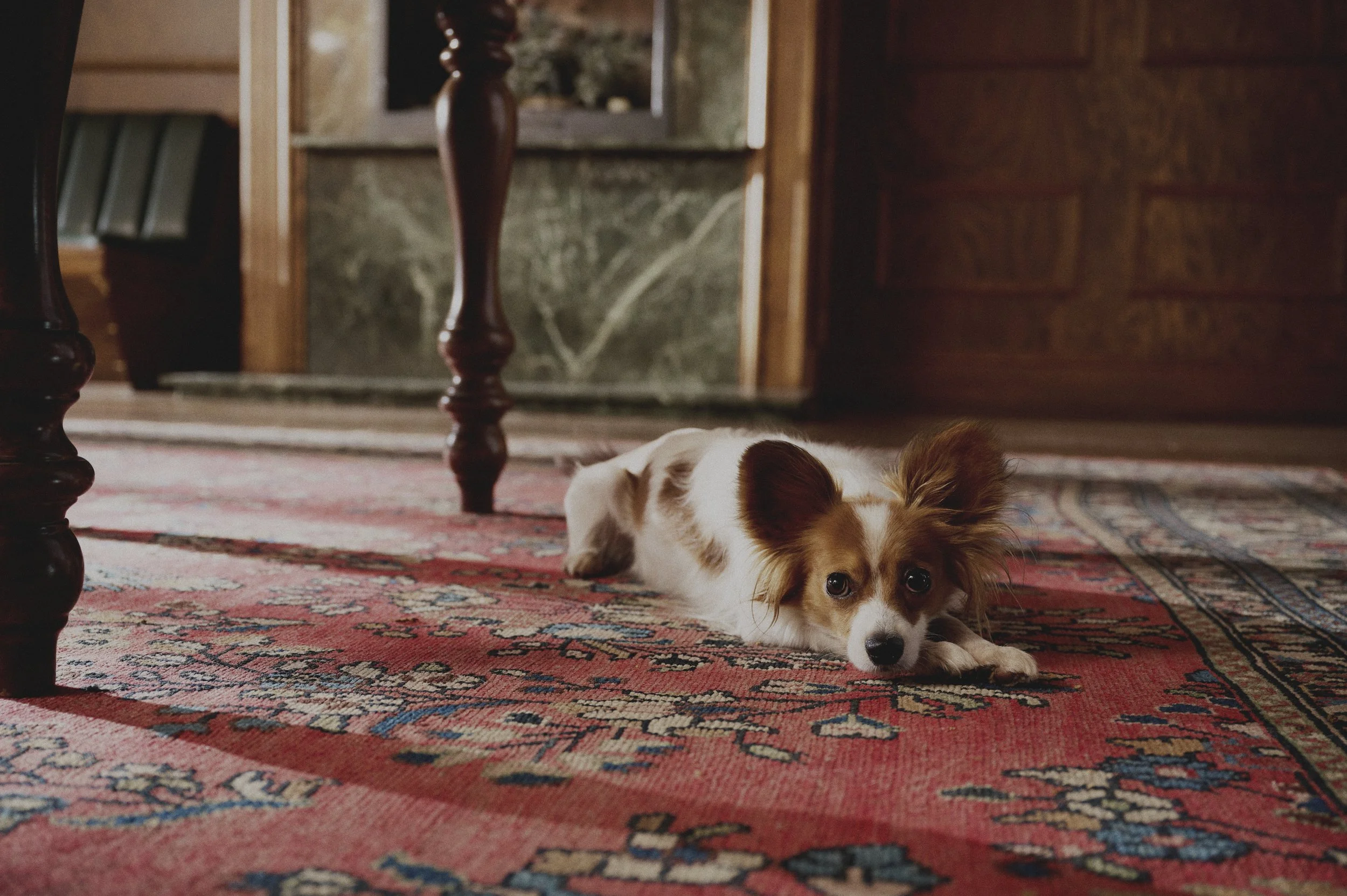 2025_10_27 SUNDAY CREATIVE  187853.jpg