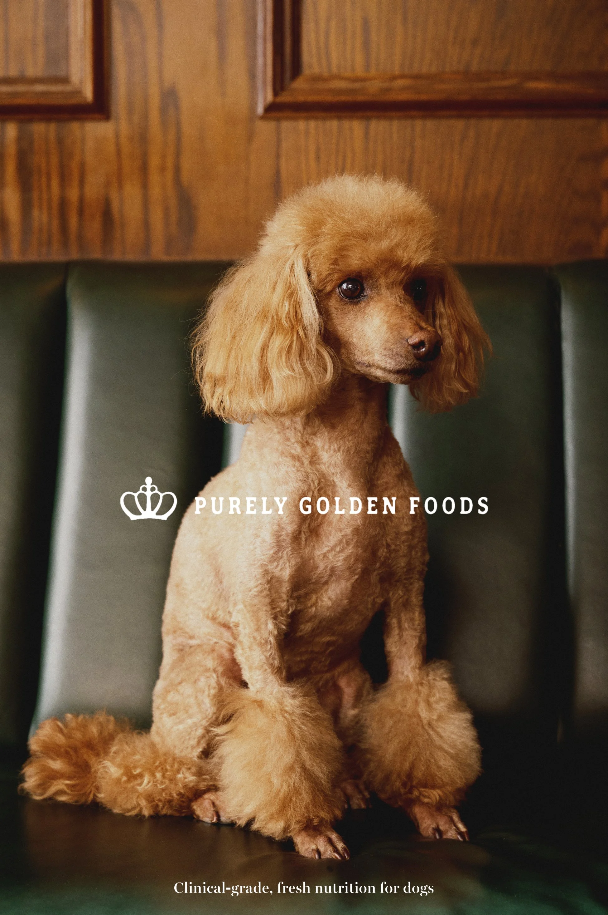 2025_10_27 SUNDAY CREATIVE  187691 copie2.jpg