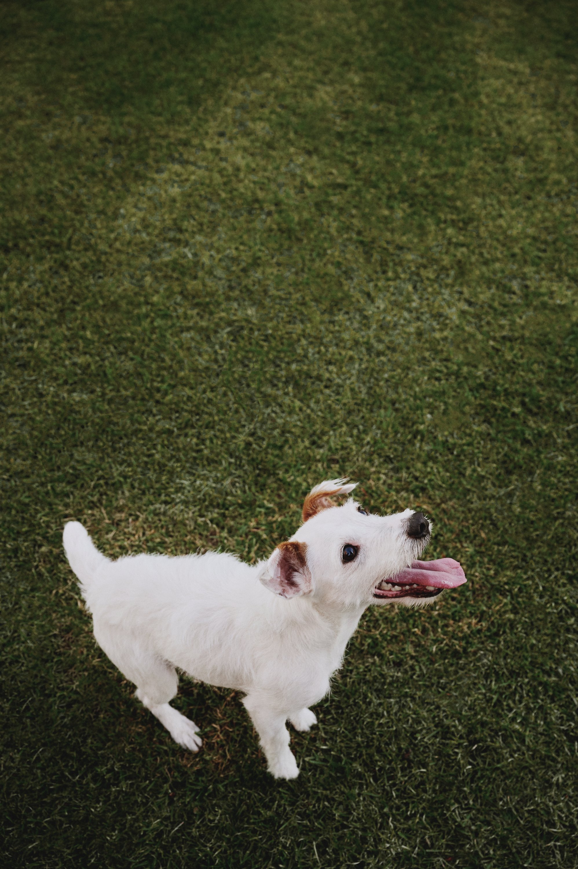 2025_10_27 SUNDAY CREATIVE  188717.jpg