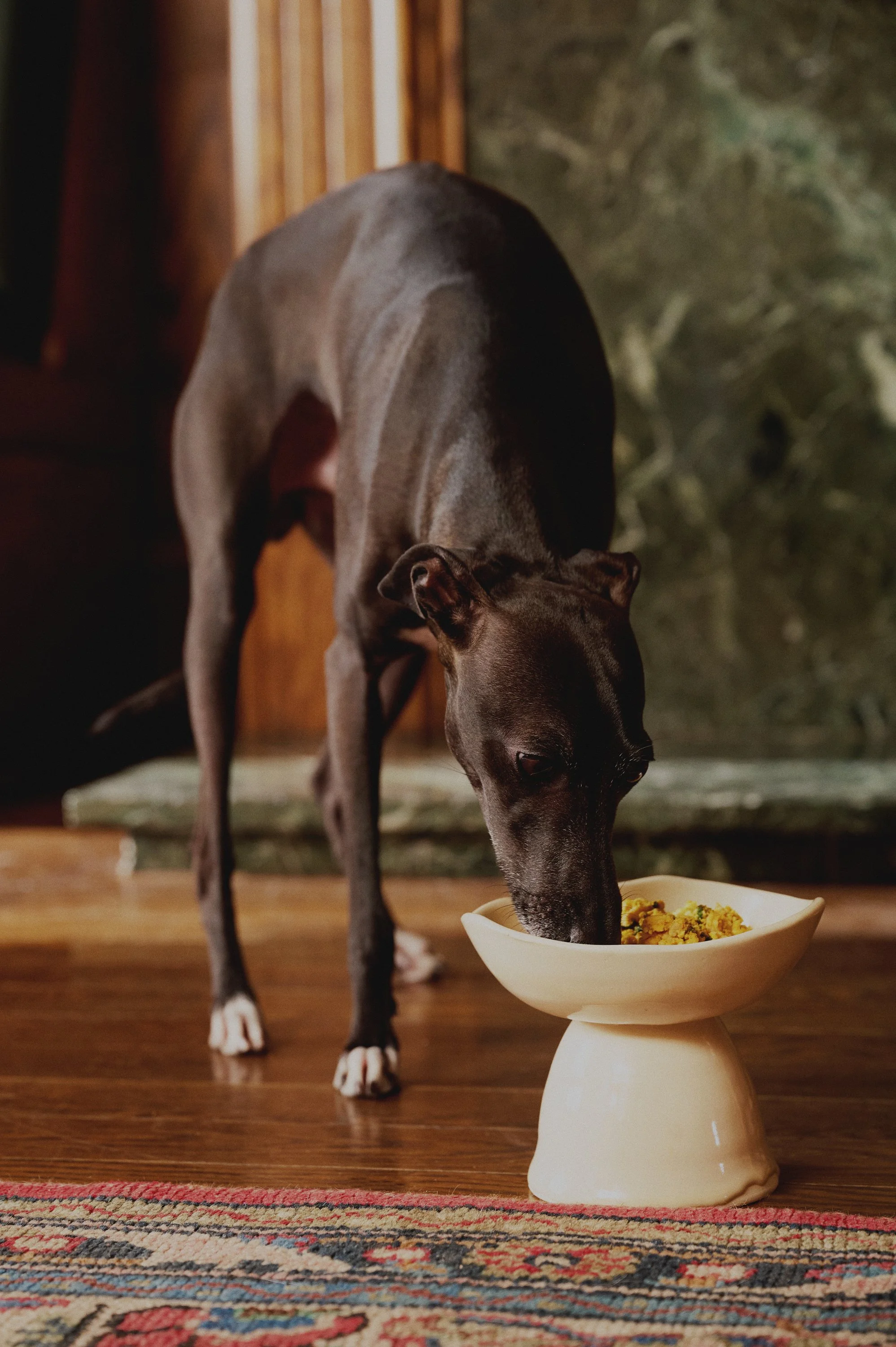 2025_10_27 SUNDAY CREATIVE  187806.jpg