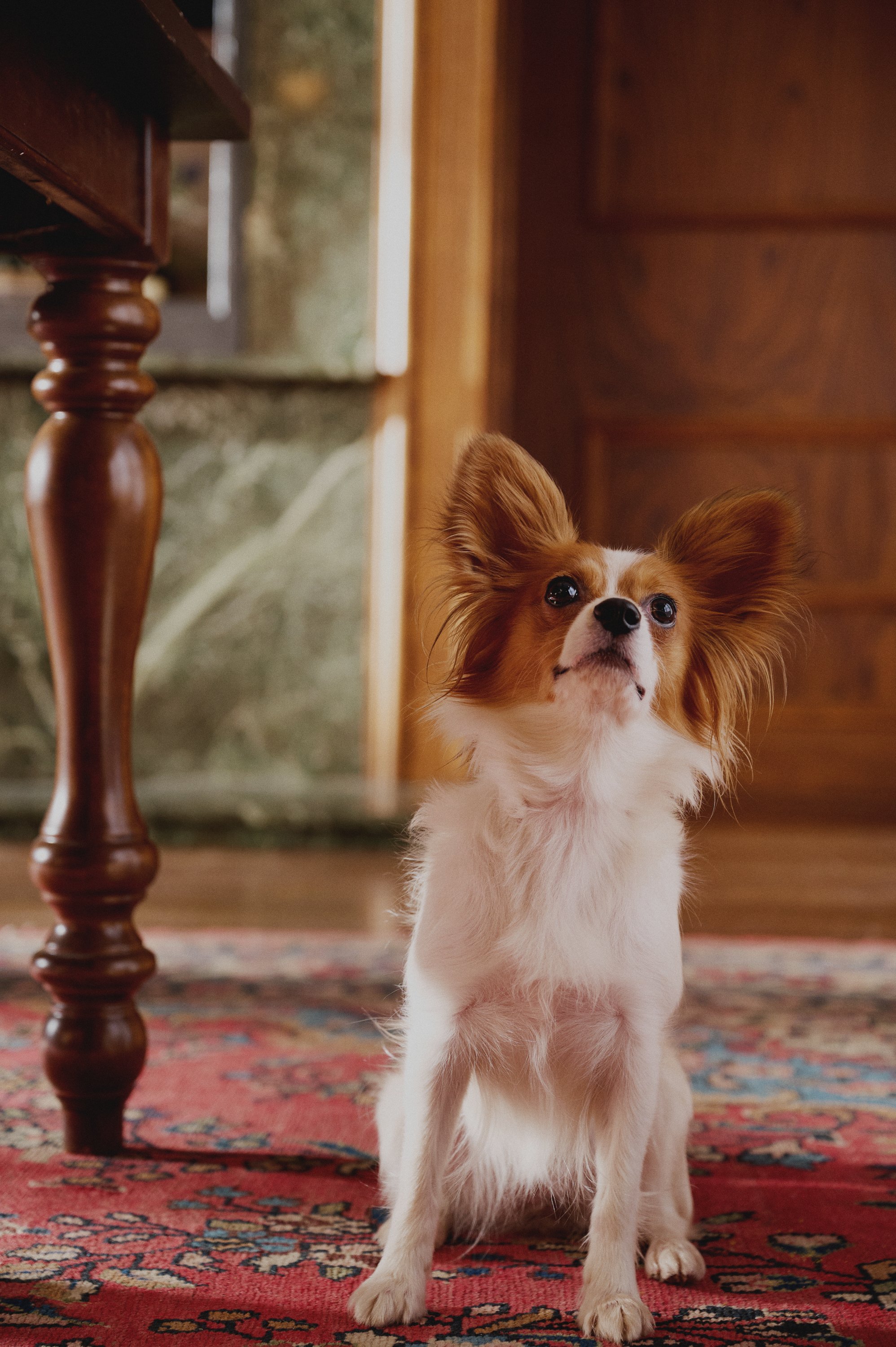 2025_10_27 SUNDAY CREATIVE  187839.jpg