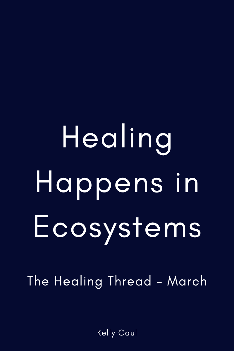 Healing Happens in Ecosystems