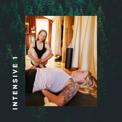 MoveWise Biomechanical Certification — <span class="sqsrte-text-color--darkAccent">A Circle Yoga Shala Program</span>