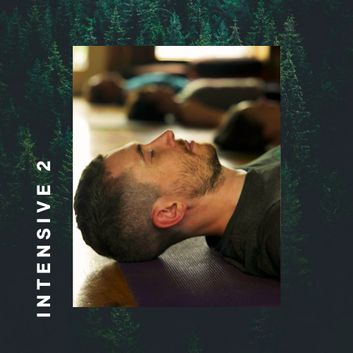 MoveWise Biomechanical Certification — <span class="sqsrte-text-color--darkAccent">A Circle Yoga Shala Program</span> 