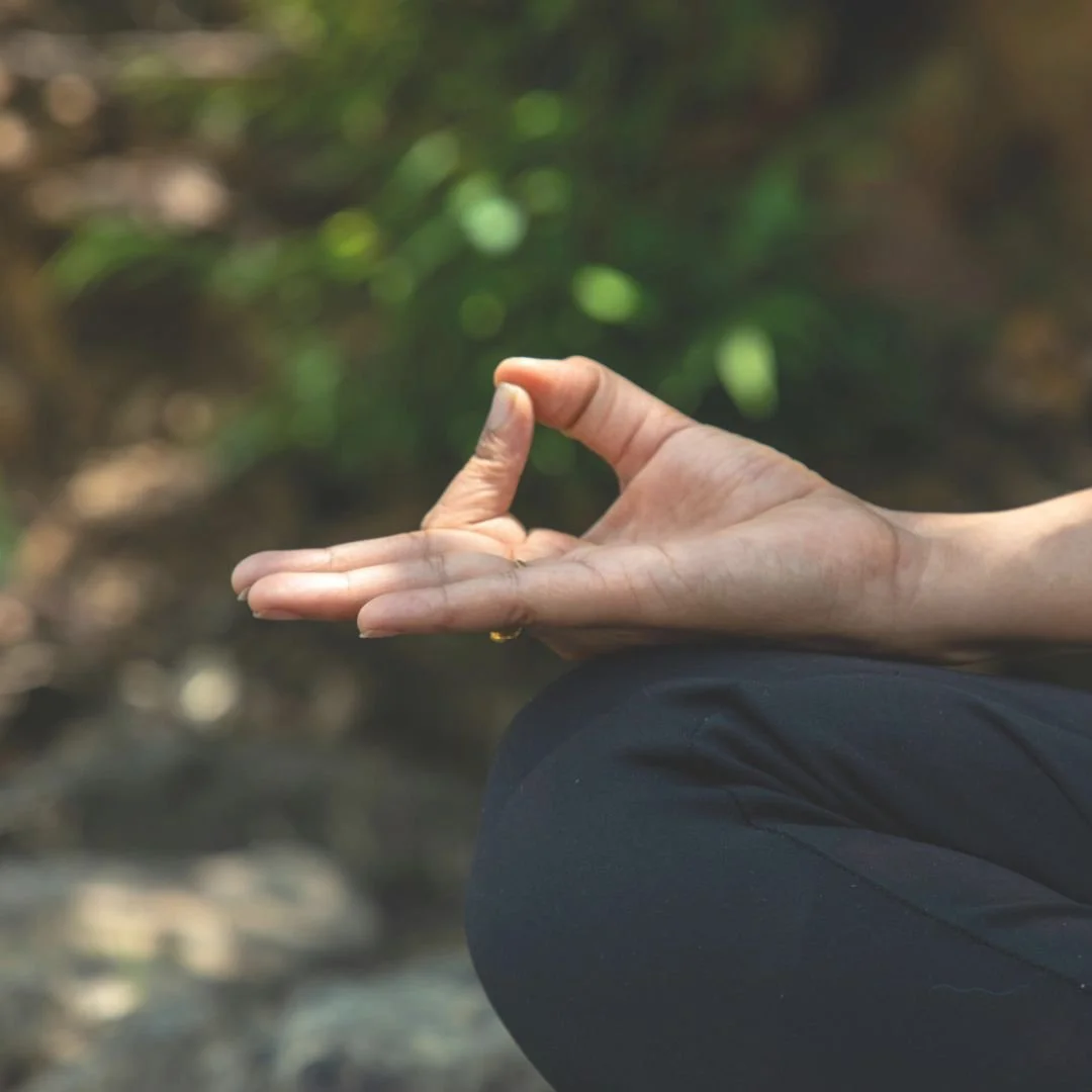 Finding Ground: A Yoga &amp; Meditation Series for Nervous System Healing in Community 