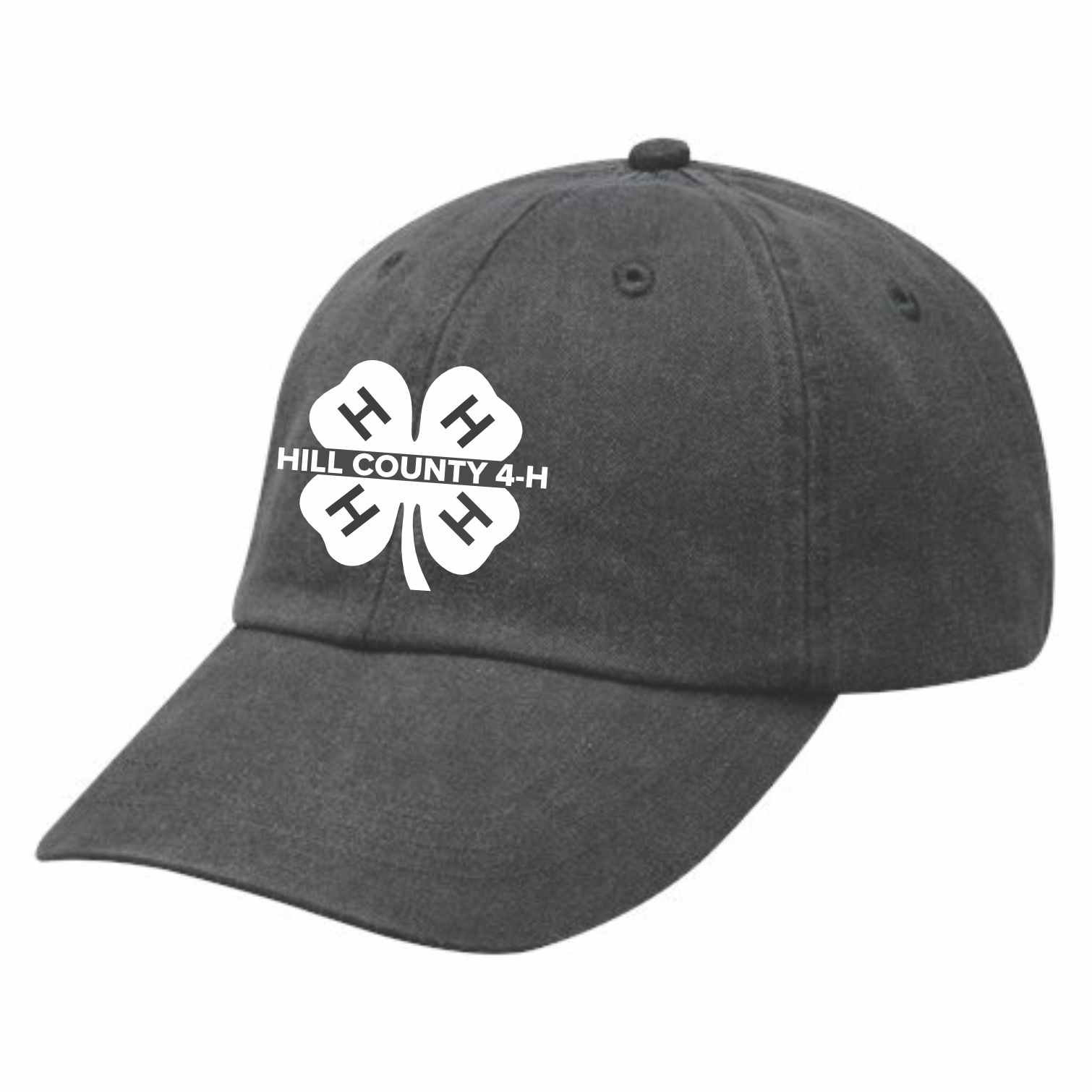 HILL COUNTY 4-H DAD CAP