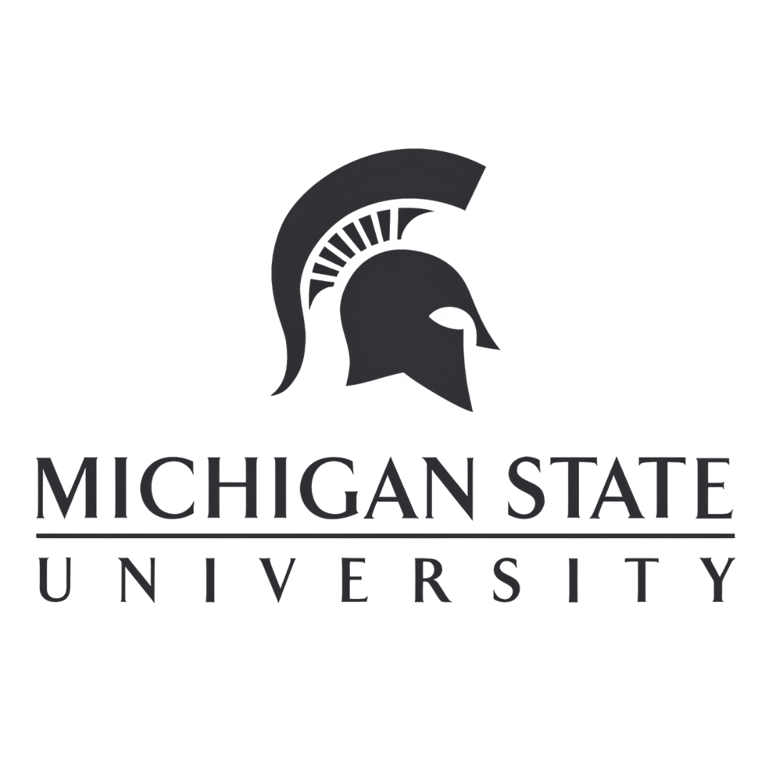 MSU.png