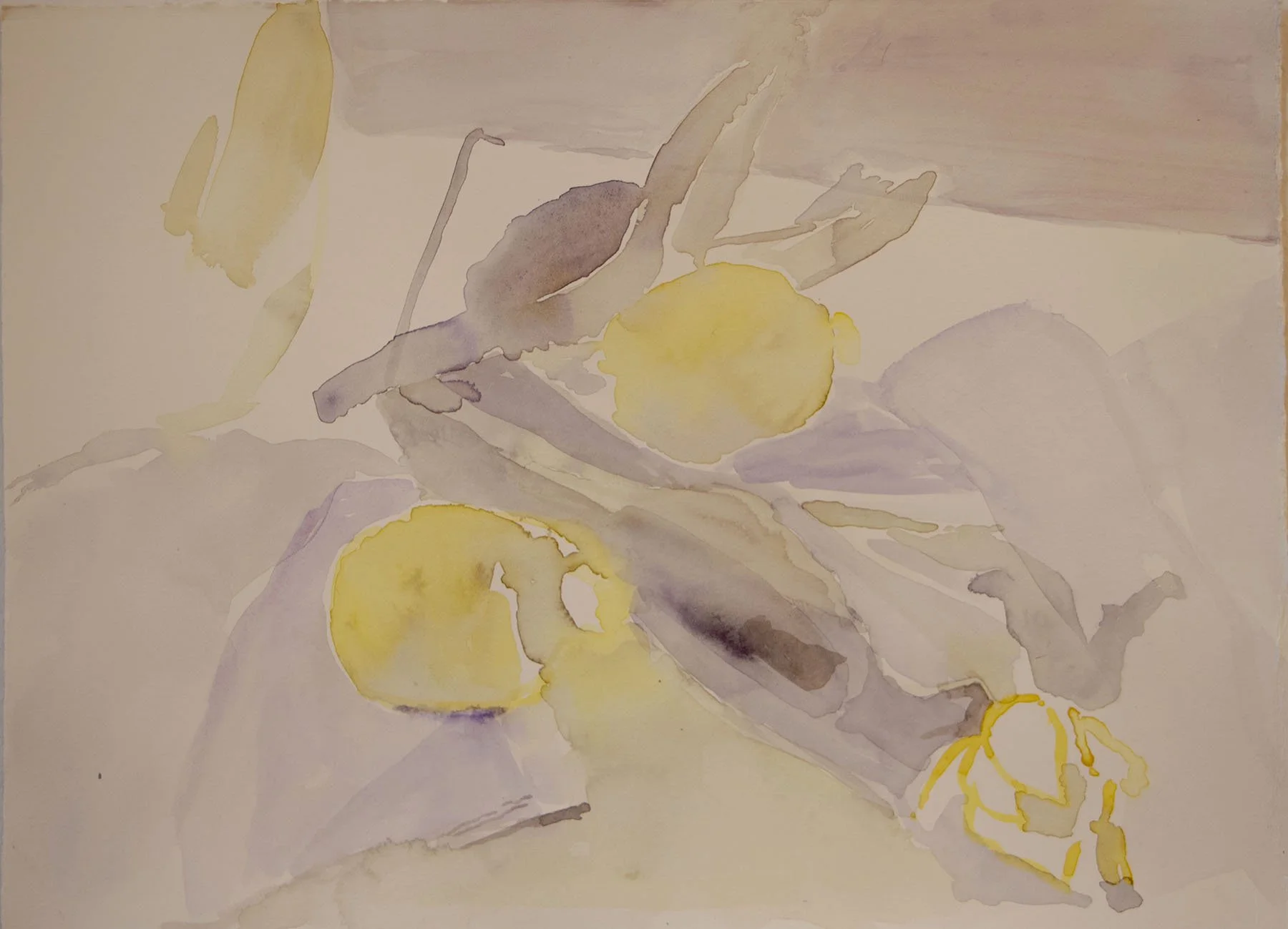 lemons copy.jpg