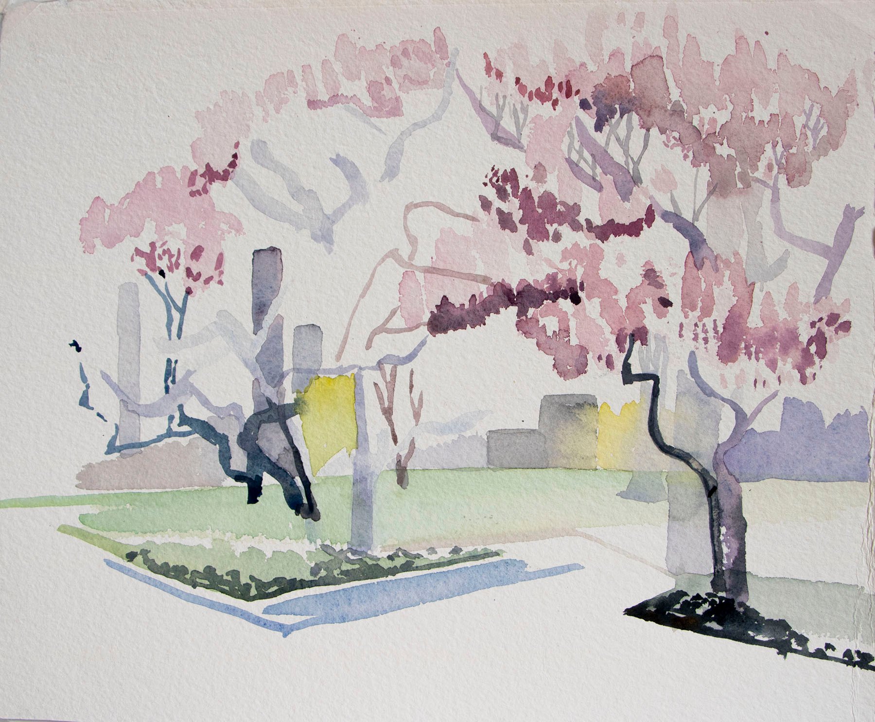 springincp copy.jpeg