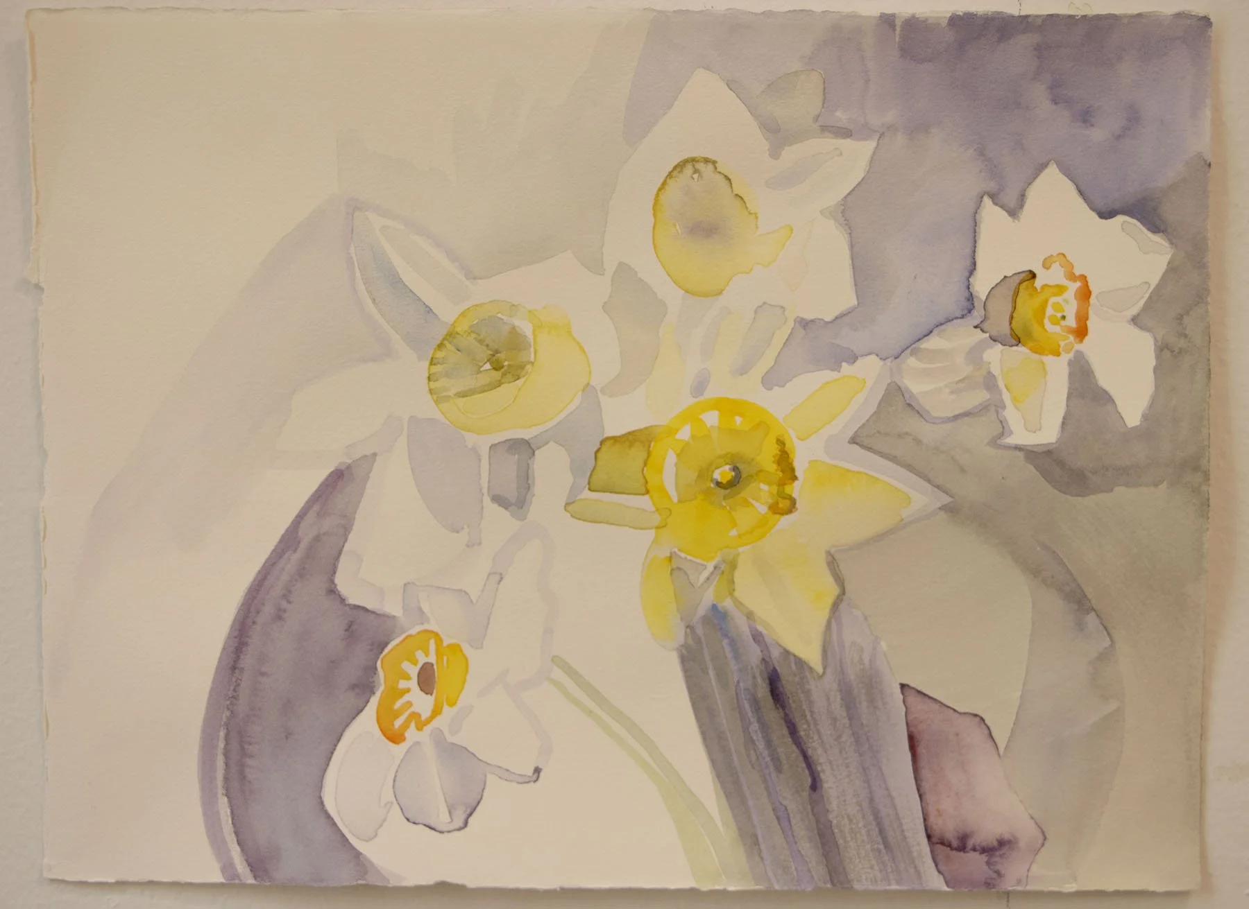 Daffodilprime copy.jpg