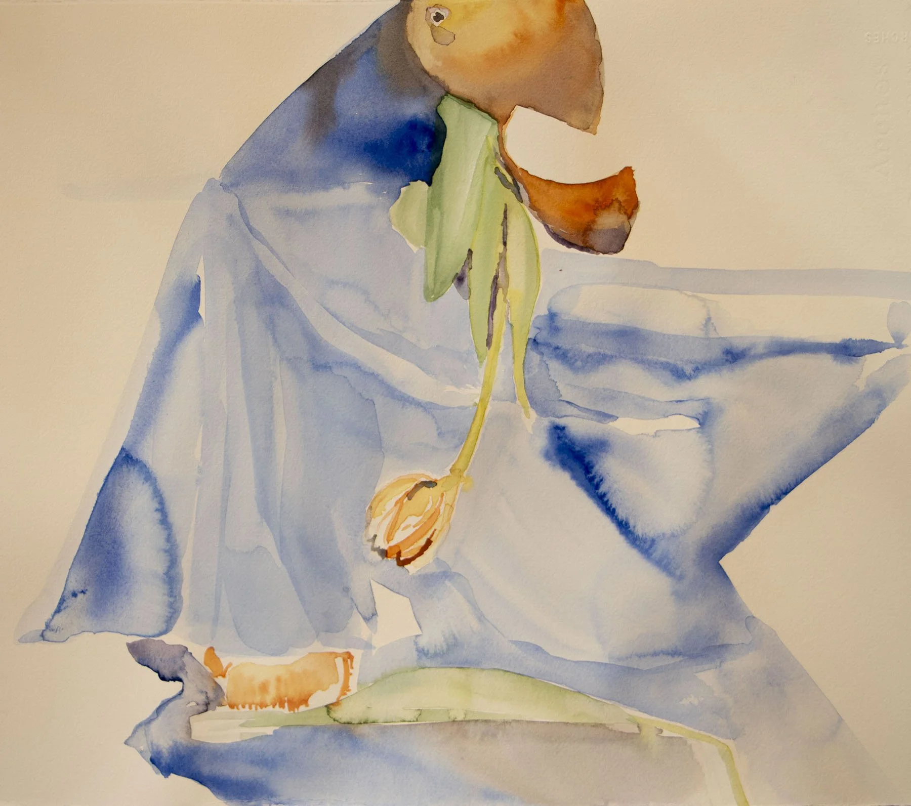 theparrottulip copy.jpg