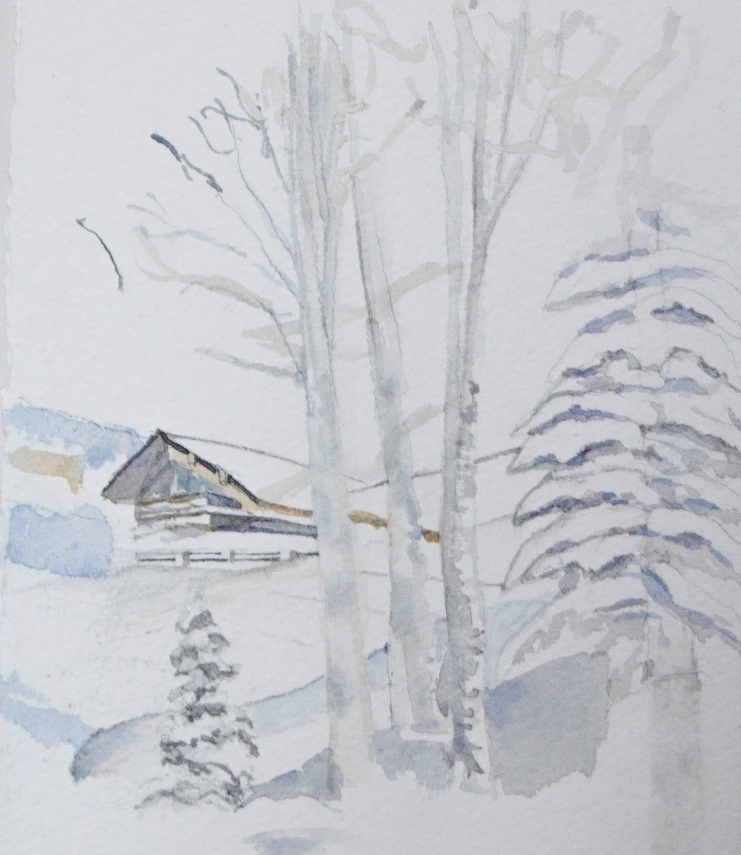 3trees copy.jpg