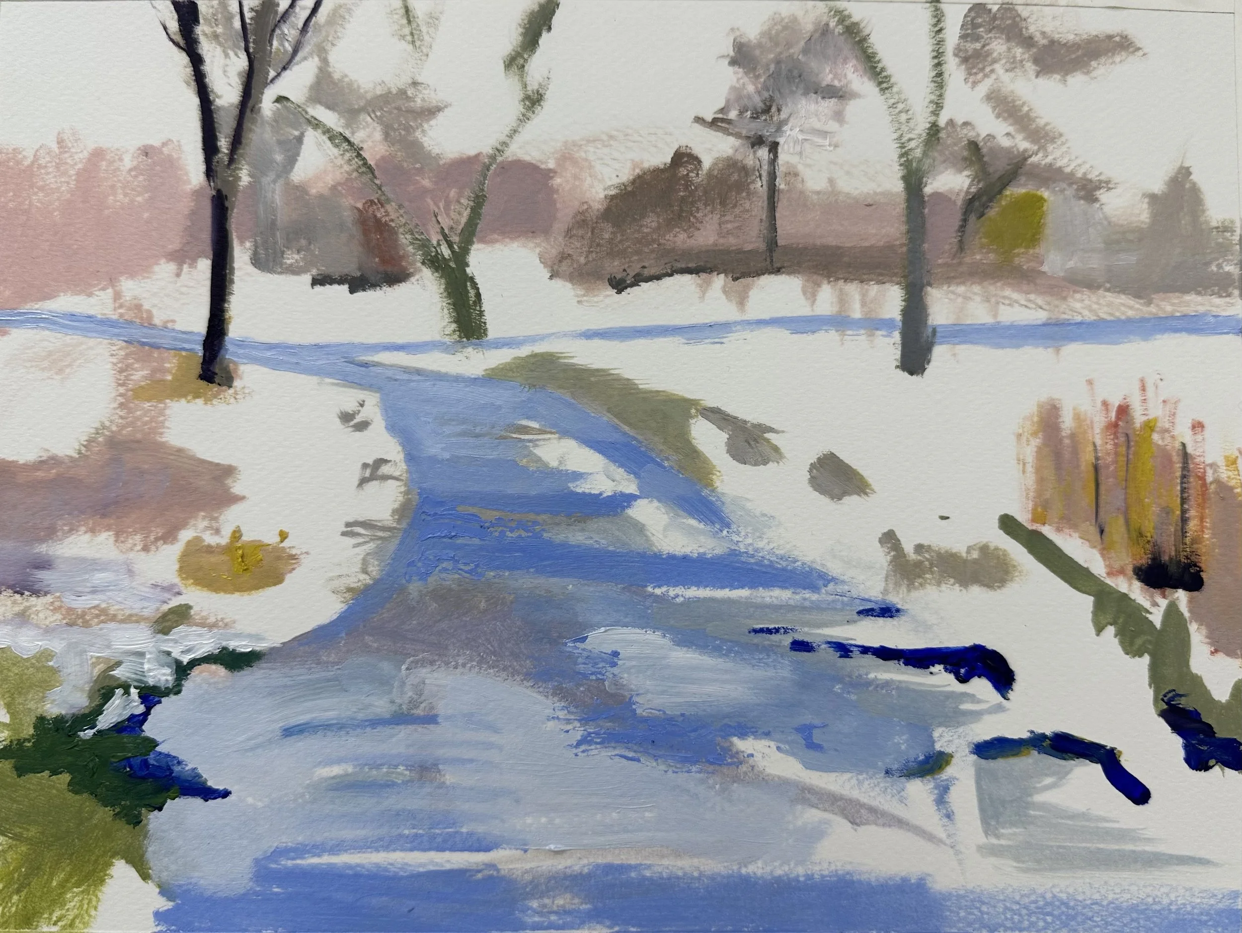 Central Park in the Snow