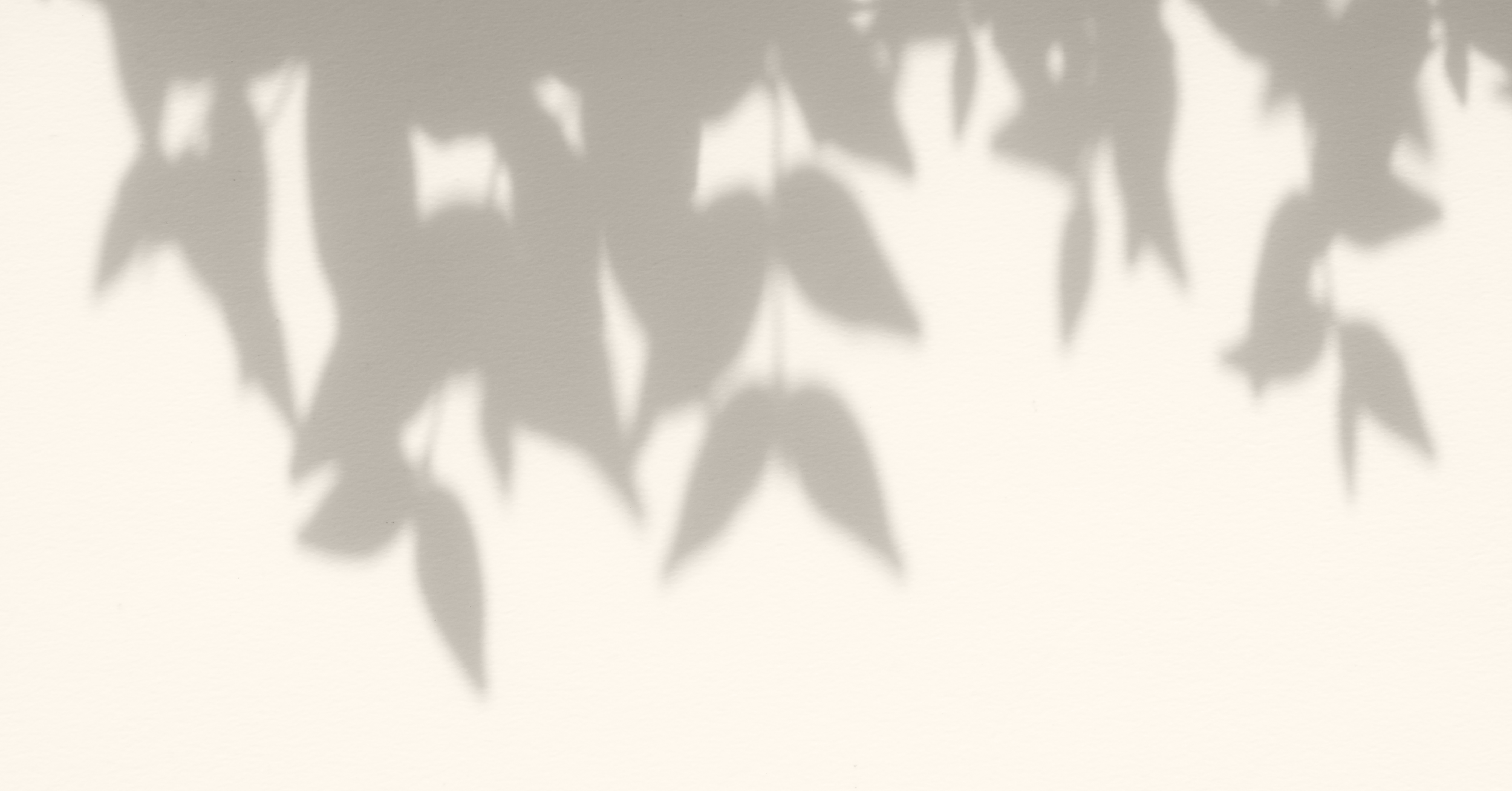 Fees, Billing & Insurance — Tandem Columbus