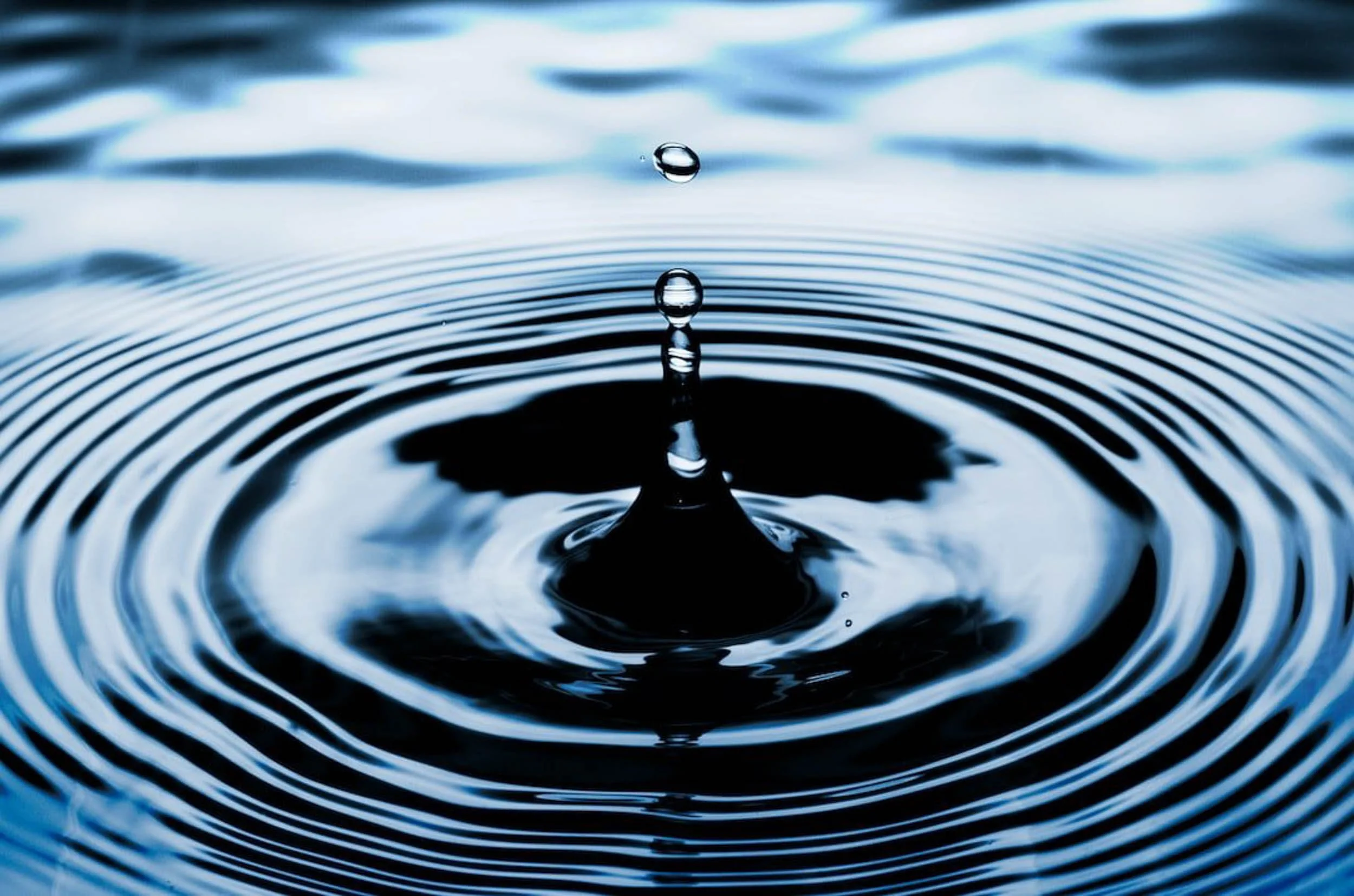 homepage_splash.jpg