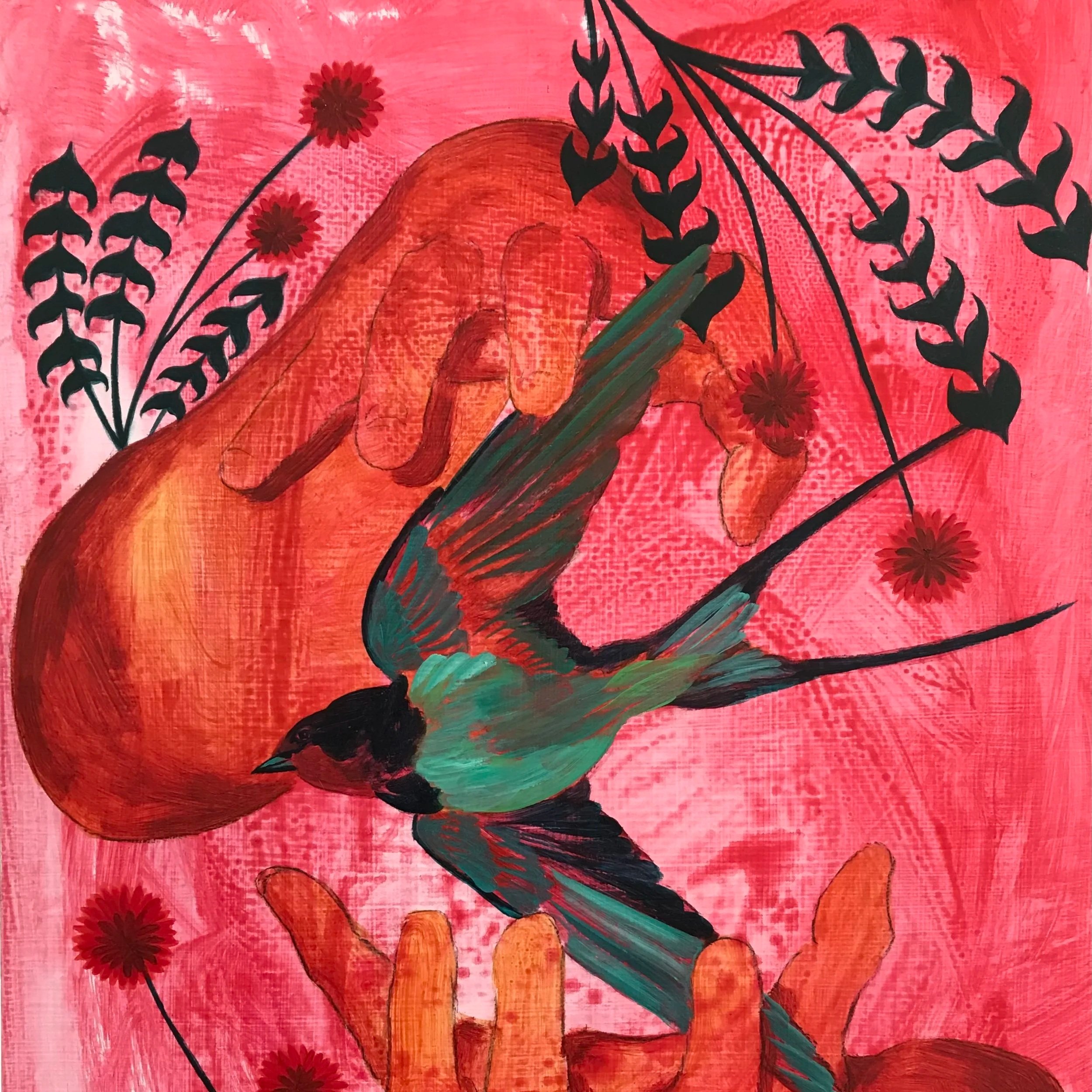 IRIS CÄZILLA