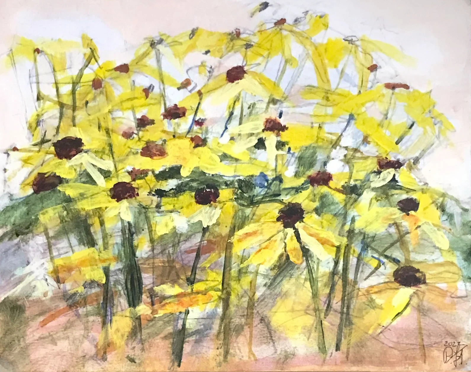 Late Blackeyed Susans, 8 x 10 in | 20 x 25 cm