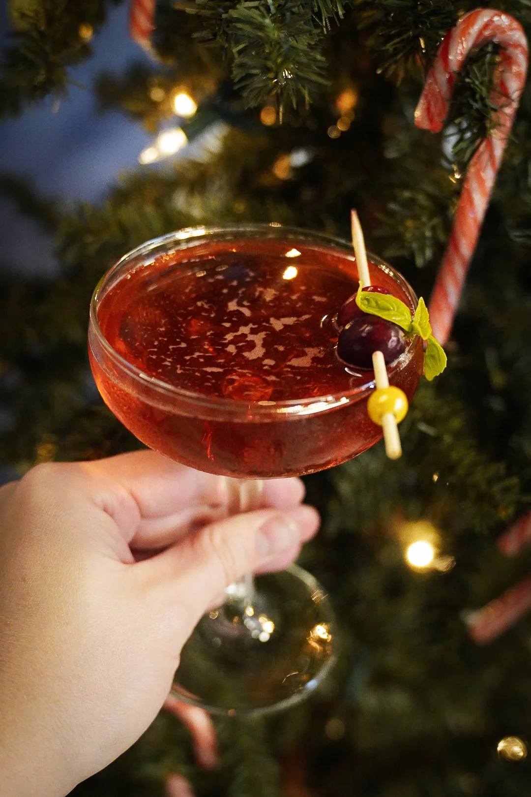 Holiday Delights at The Fountain