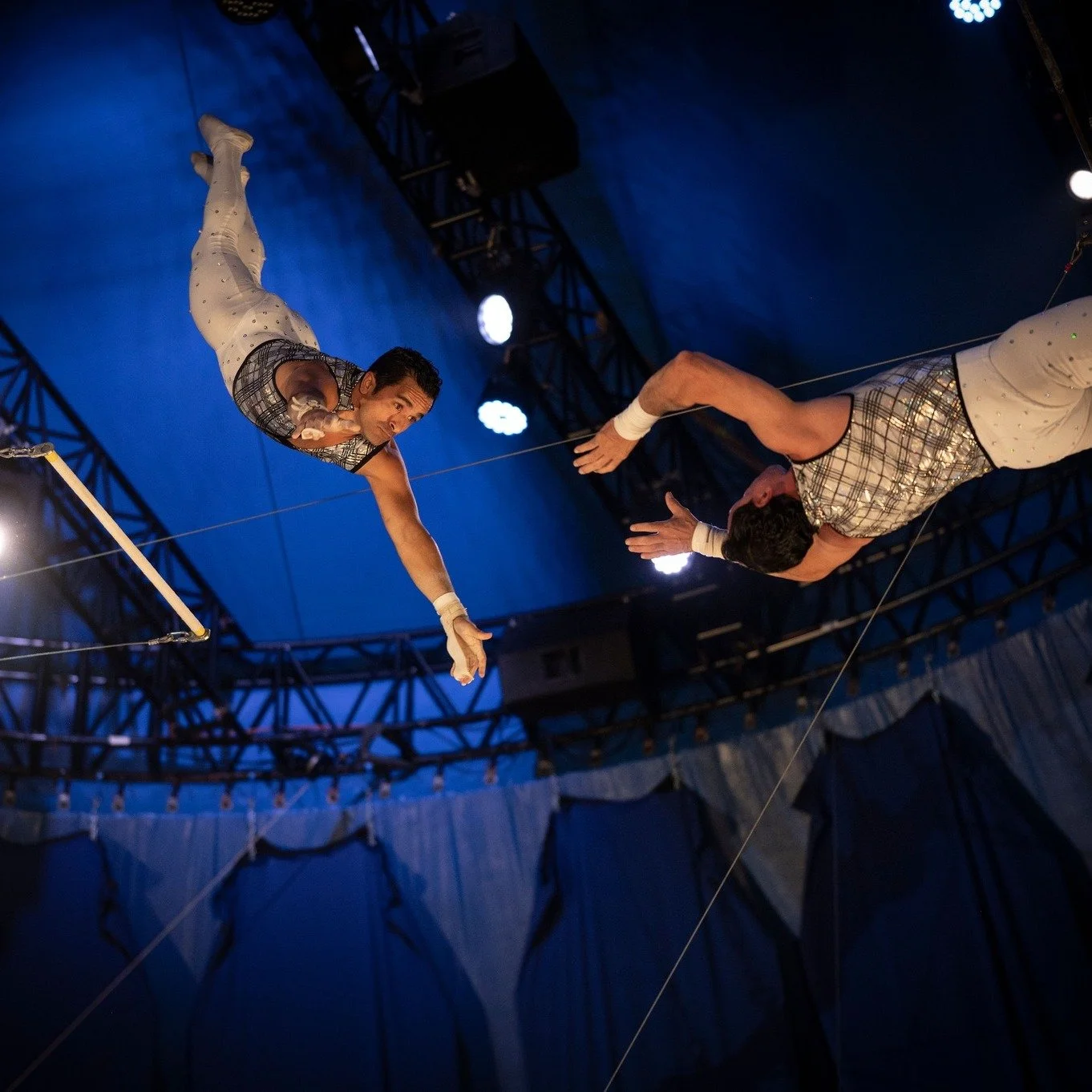 Two circus trapeze artists fly through the air at circus flora